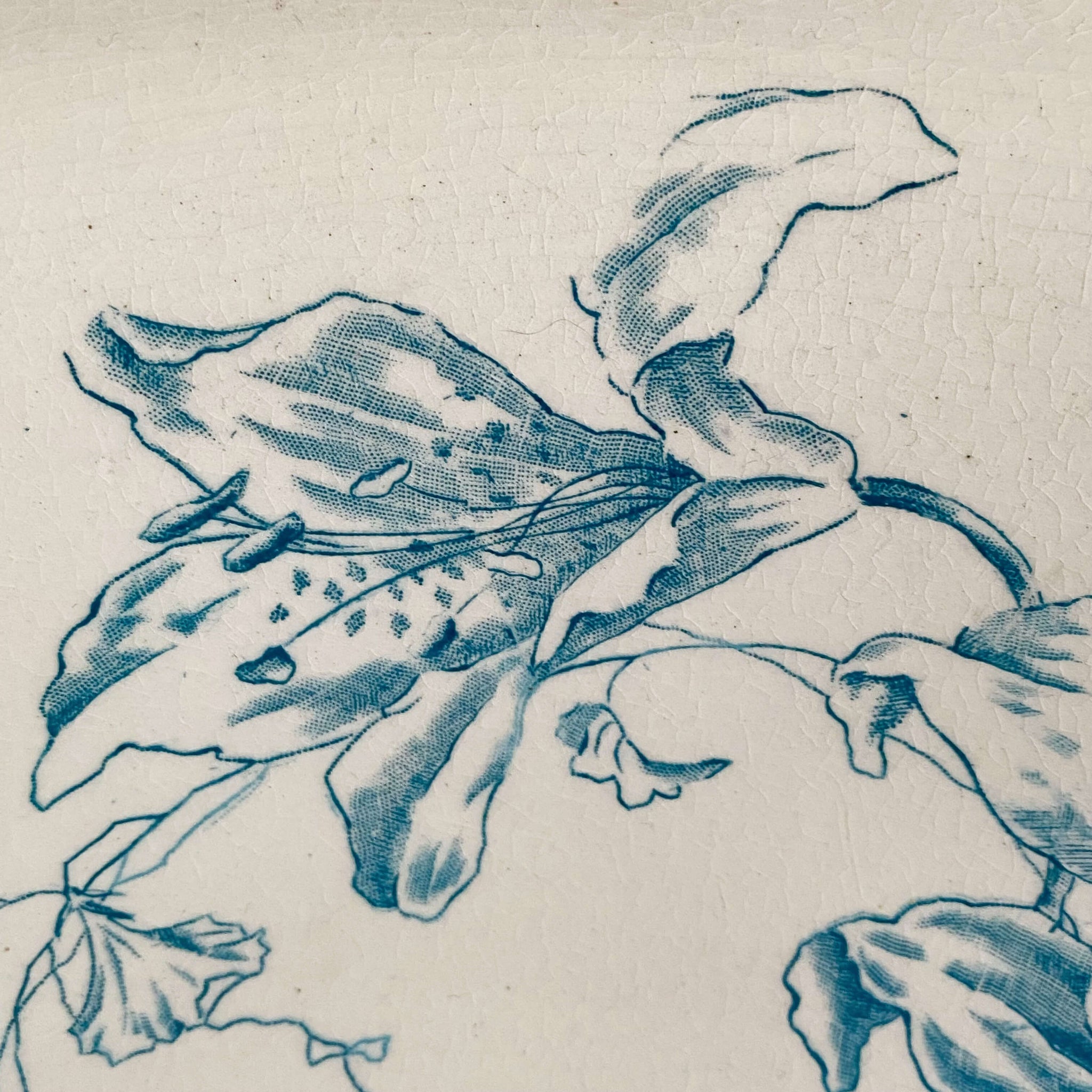 Antique Large Wash Basin Bowl with Teal Flowers by International Pottery Co circa 1920s-1930s