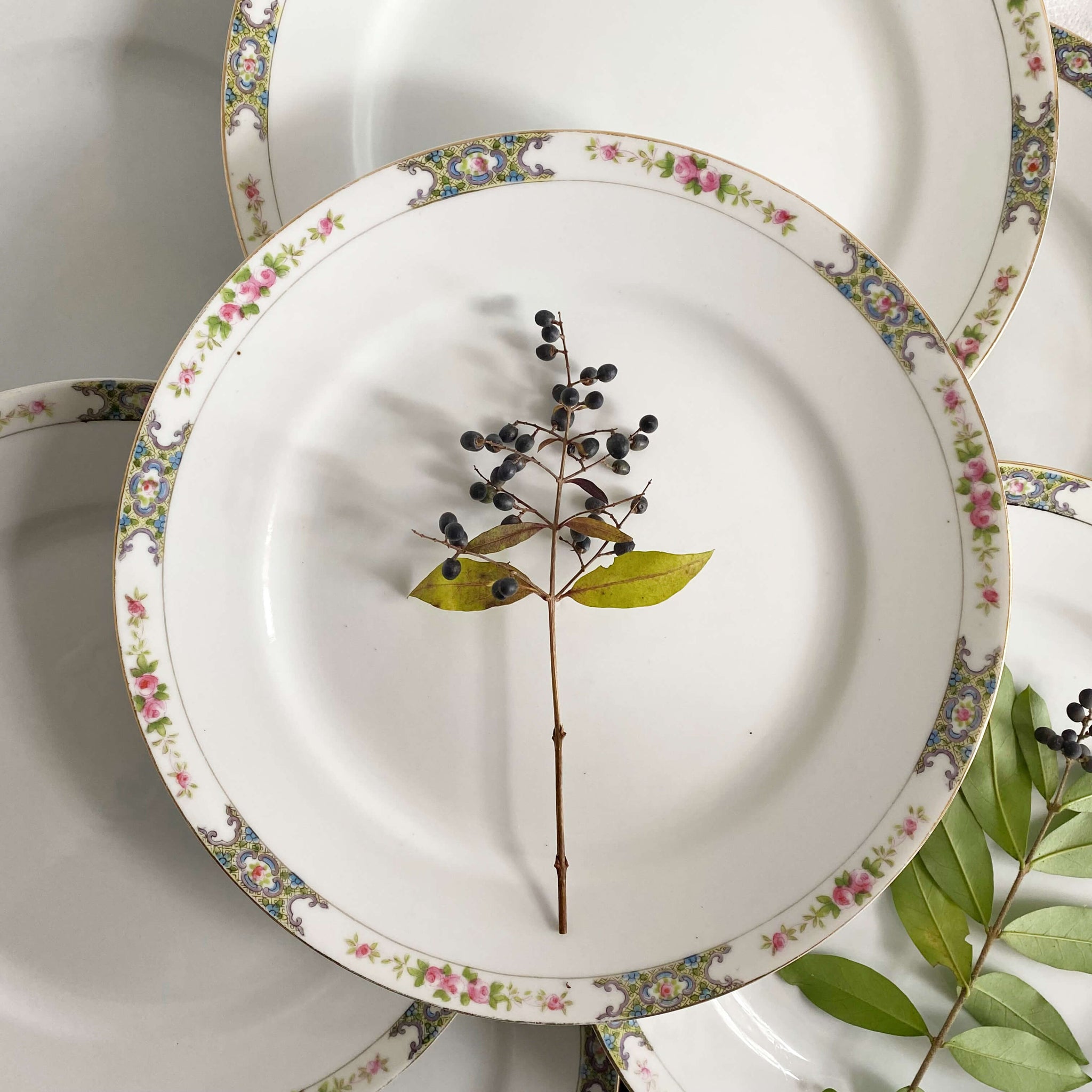 Antique Noritake Thelma Bassett Porcelain Dinner Plates - Set of Eight circa 1920s