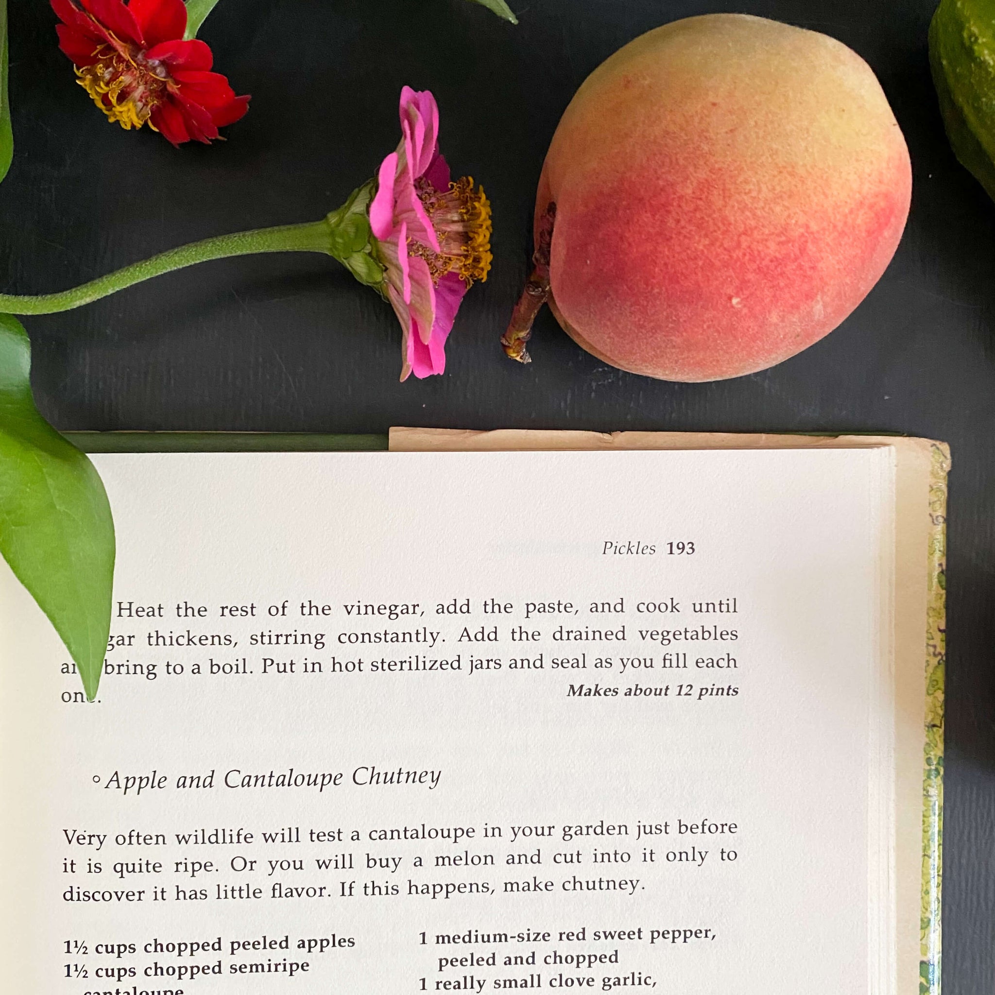 Lois Burpee's Gardener's Companion and Cookbook - 1983 First Edition