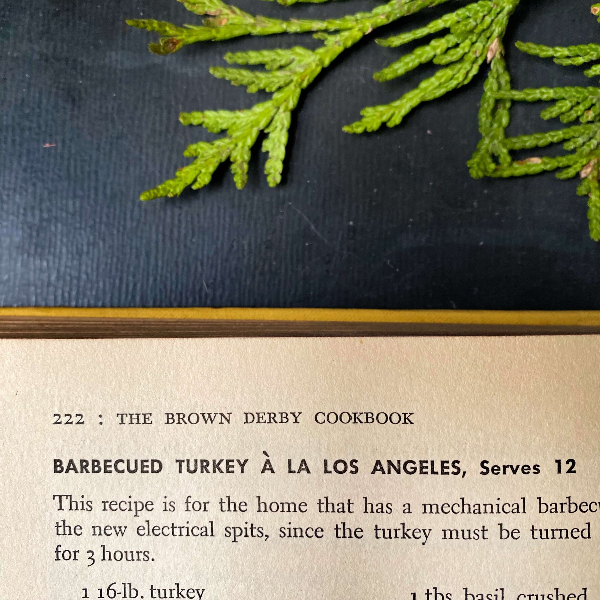 The Brown Derby Cookbook - 1952 Edition