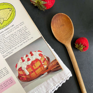 Betty Crocker's Cake and Frosting Mix Cookbook - 1966 First Edition Second Printing