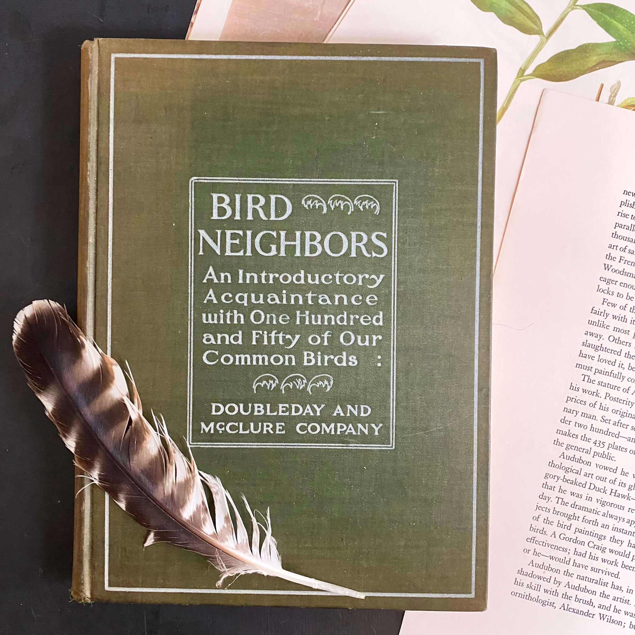 Bird Neighbors by Neltje Blanchan - 1898 Edition Fifth Printing