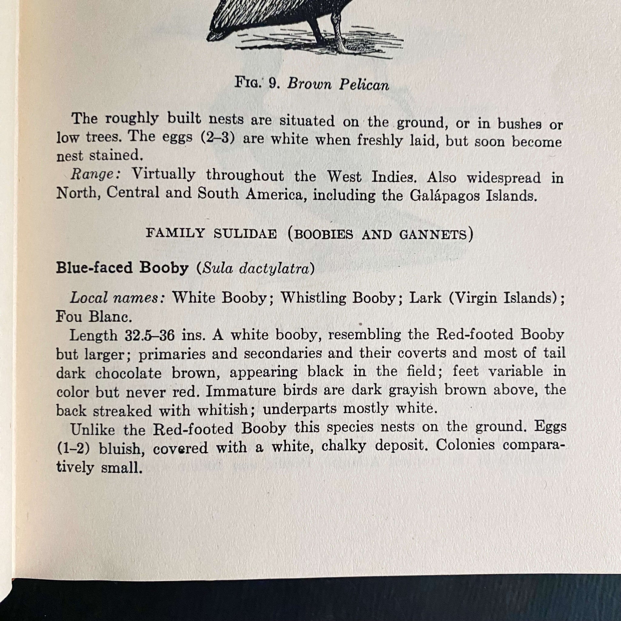Field Guide to Birds of the West Indies by James Bond - 1947 Edition First Printing