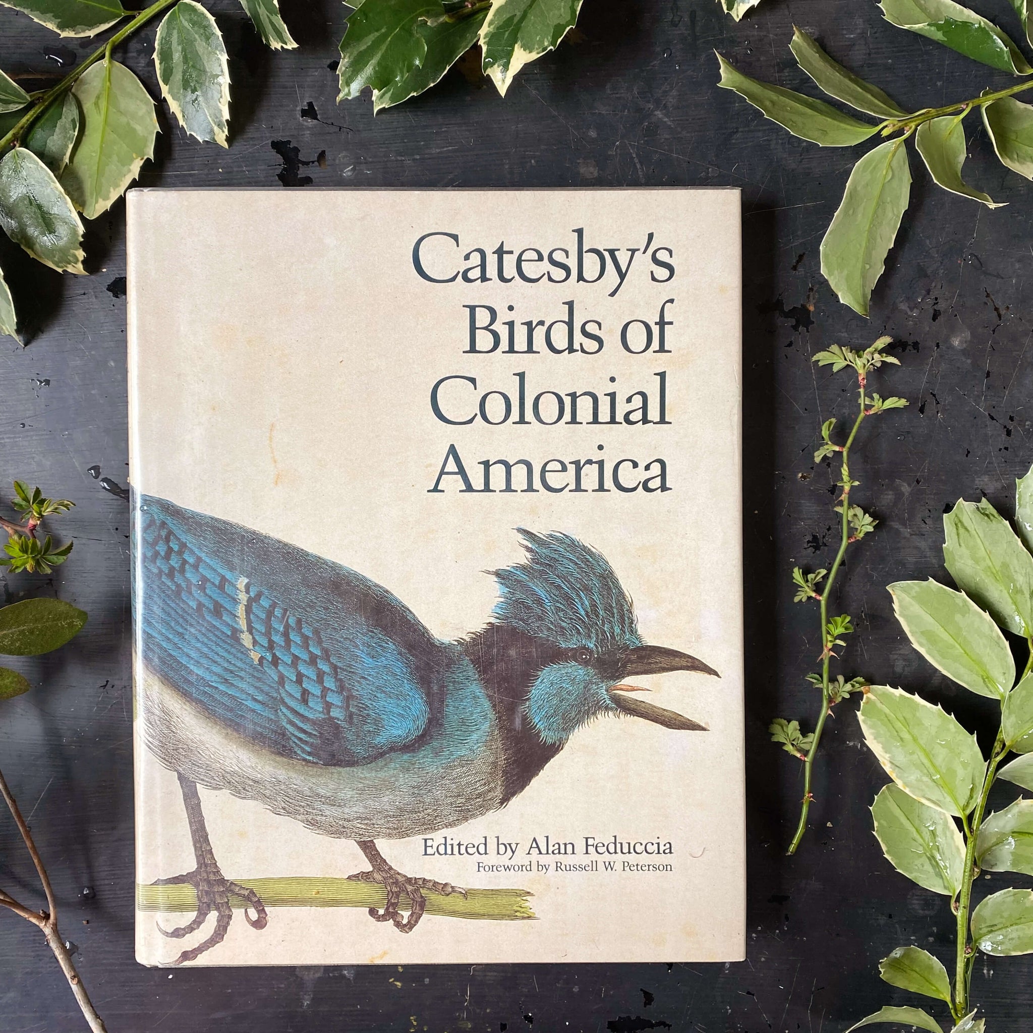 Catesby's Birds of Colonial America Edited by Alan Feduccia - 1985 Edition