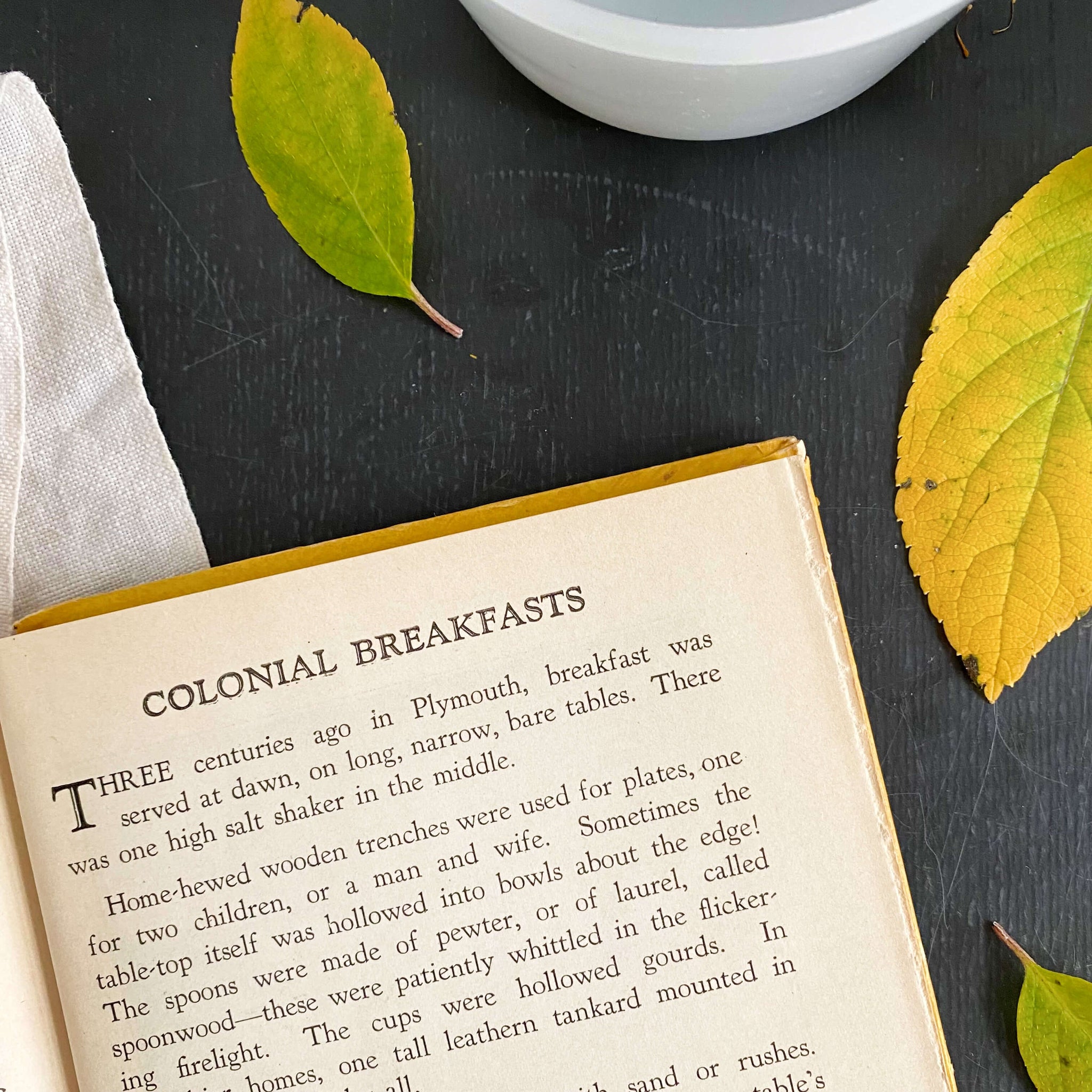 The Modern Method of Preparing Delightful Foods by Ida Bailey Allen - 1927 Edition Second Printing