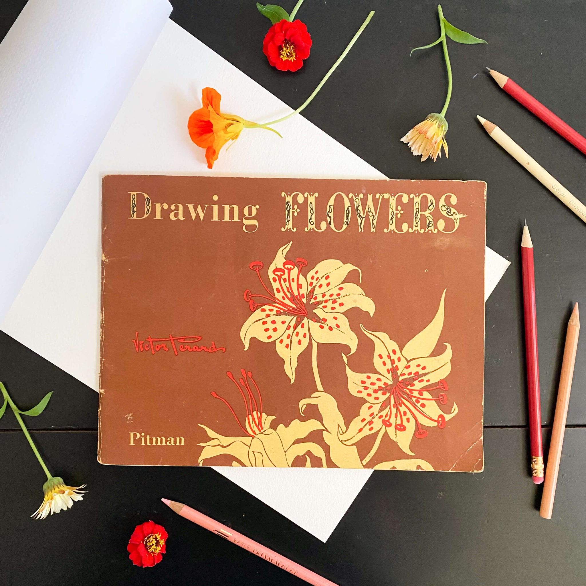 Drawing Flowers by Victor Perard circa 1948