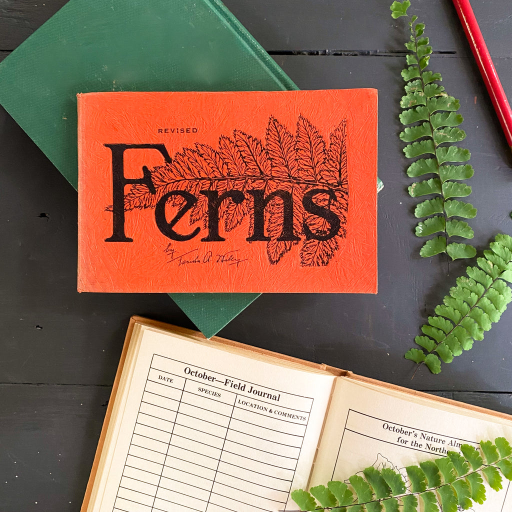 Vintage 1940s Fern Indentification Guide - Ferns of Northeastern United States by Farida Wiley 1948 Edition