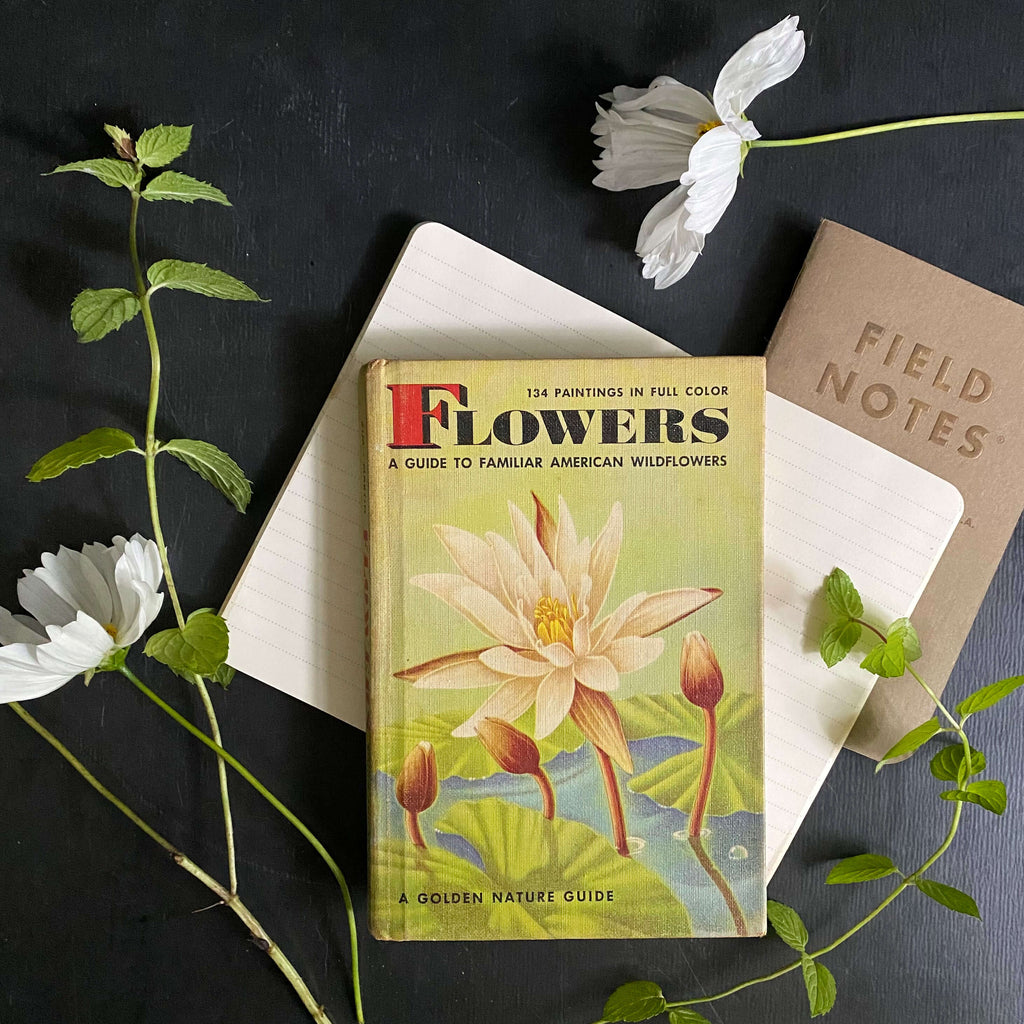 Vintage 1950s Golden Nature Guide - Flowers by Herbert Zim & Alexander Martin circa 1950
