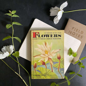Vintage 1950s Golden Nature Guide - Flowers by Herbert Zim & Alexander Martin circa 1950
