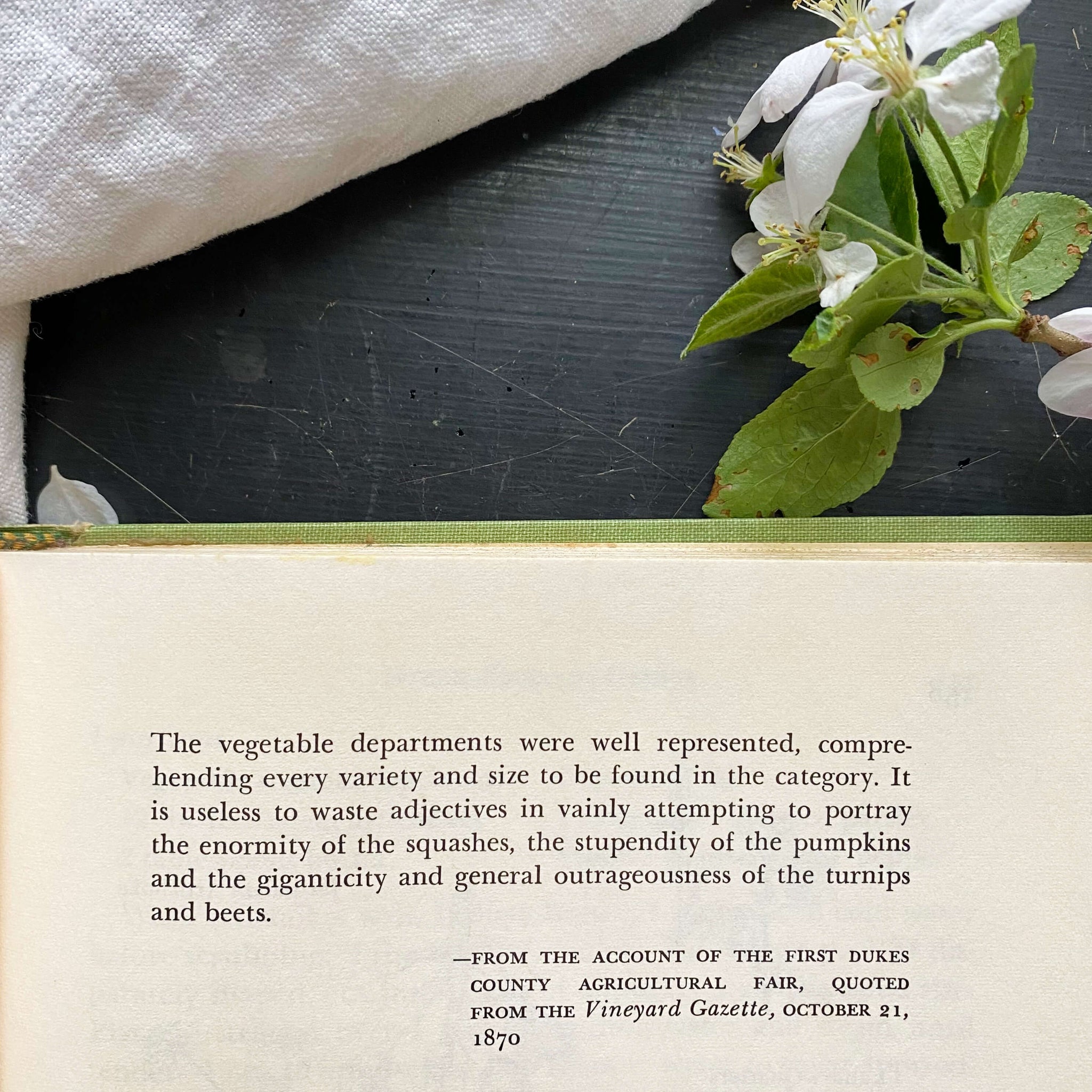 The Martha's Vineyard Cook Book by Louise Tate King and Jean Stewart Wexler - 1971 Edition