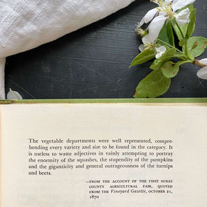 The Martha's Vineyard Cook Book by Louise Tate King and Jean Stewart Wexler - 1971 Edition