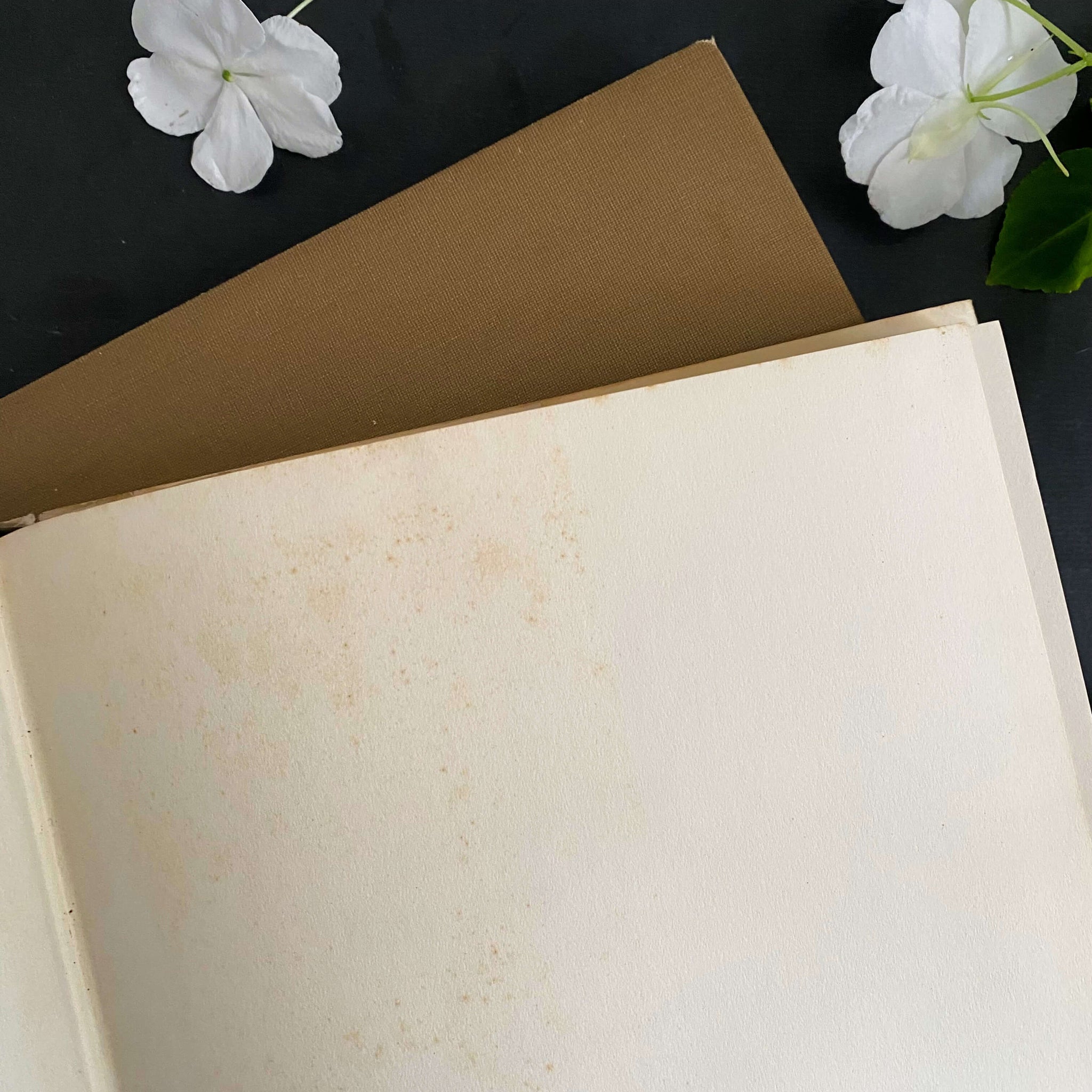 The Concise British Flora in Colour by W. Keble Martin -1965 Edition, 4th Impression