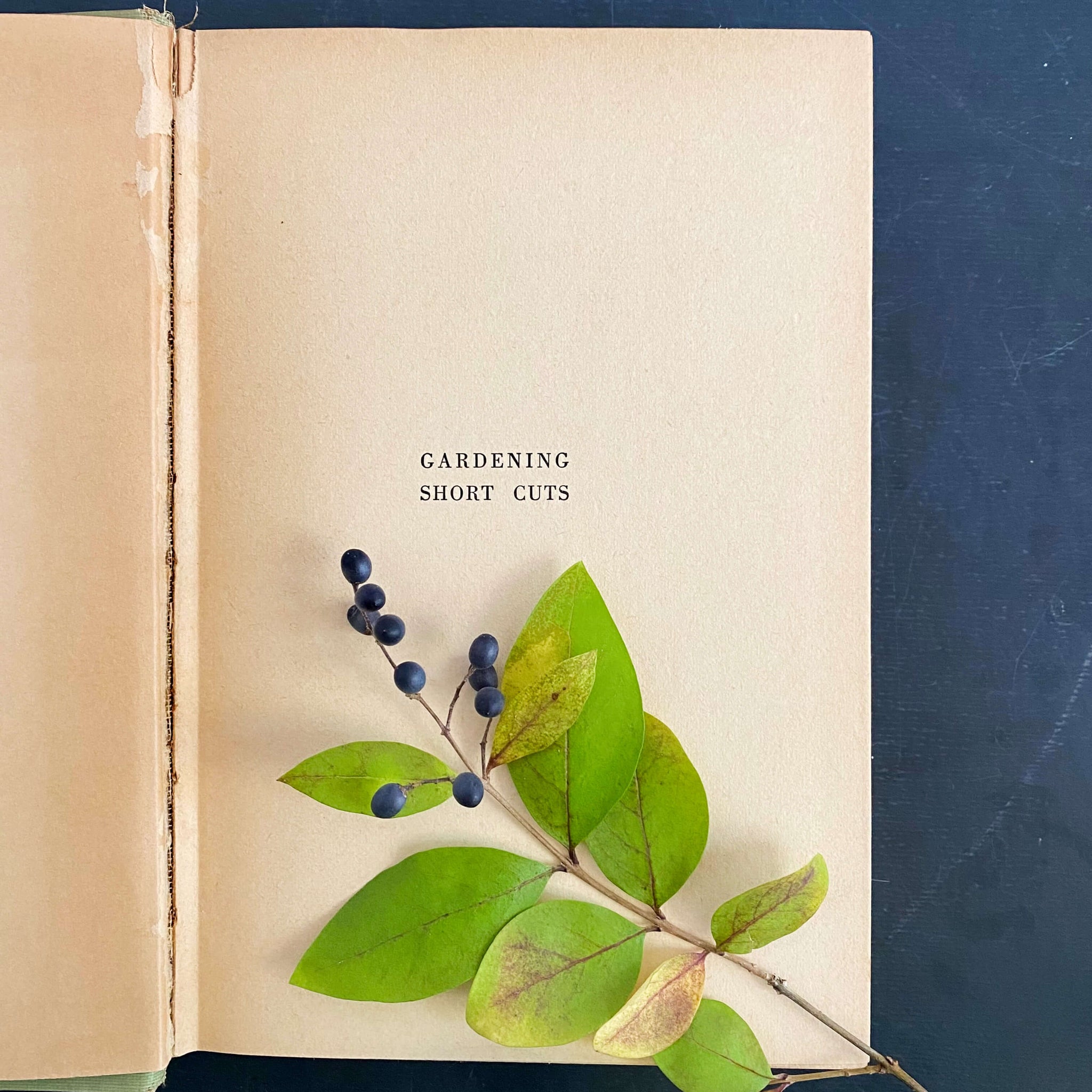 Gardening Short Cuts by M. G. Kains - 1943 Edition Fifth Printing