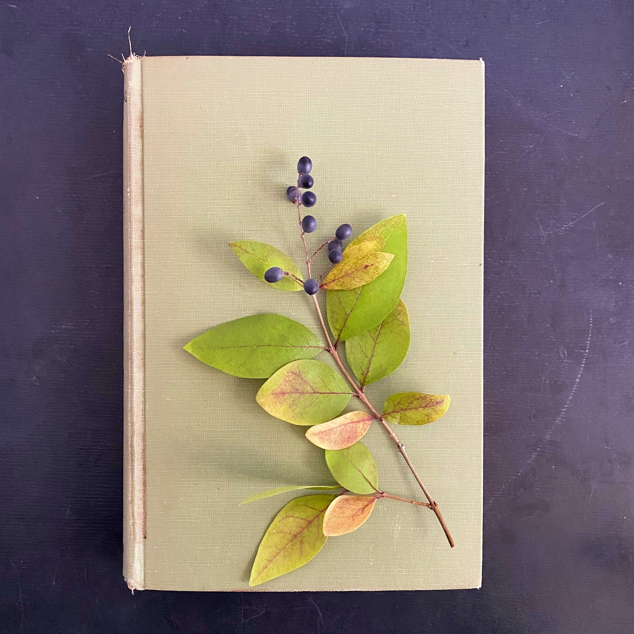 Gardening Short Cuts by M. G. Kains - 1943 Edition Fifth Printing