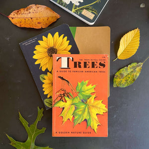 Vintage 1950s Tree Identification Book circa 1956 by Golden Press