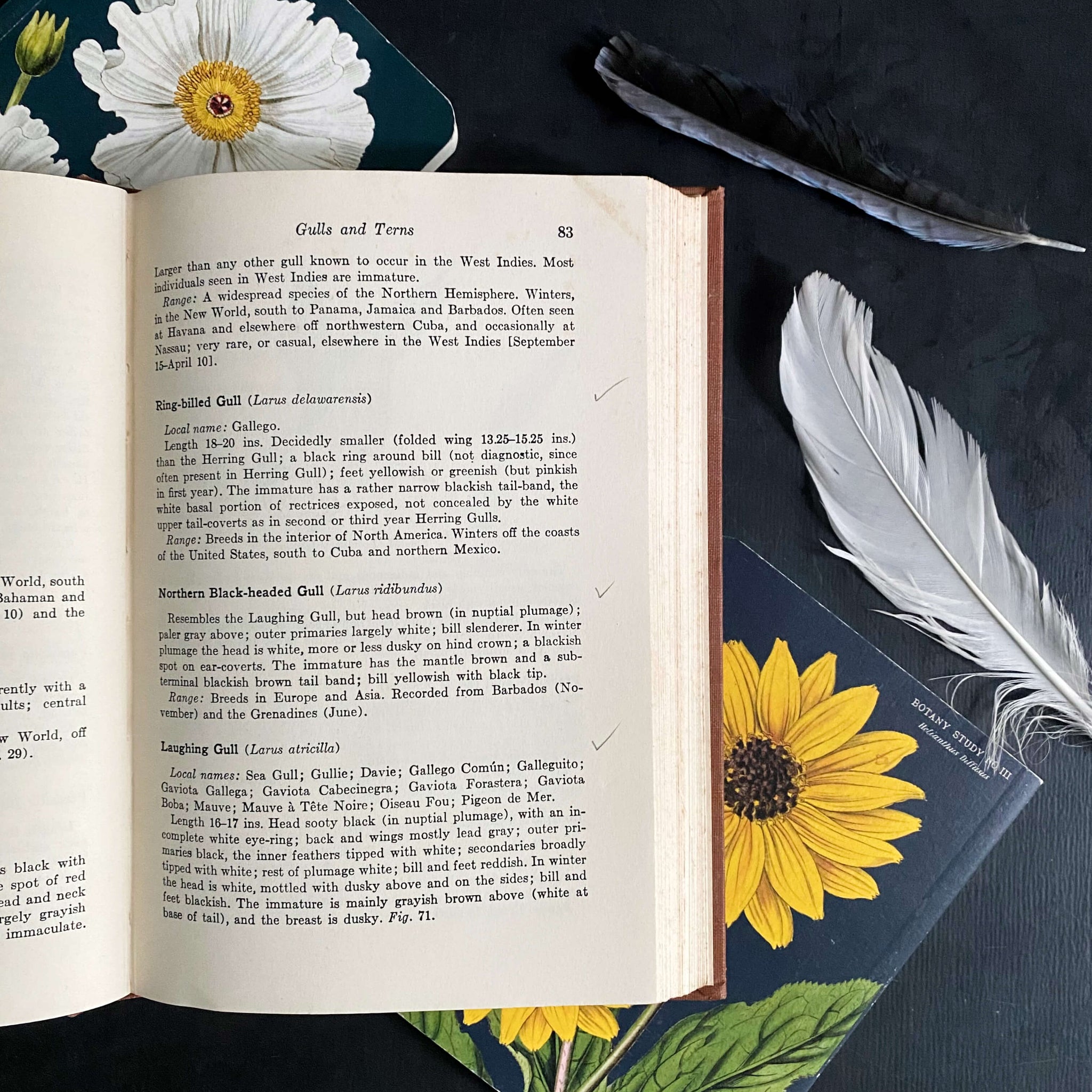 Field Guide to Birds of the West Indies by James Bond - 1947 Edition First Printing