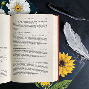 Field Guide to Birds of the West Indies by James Bond - 1947 Edition First Printing