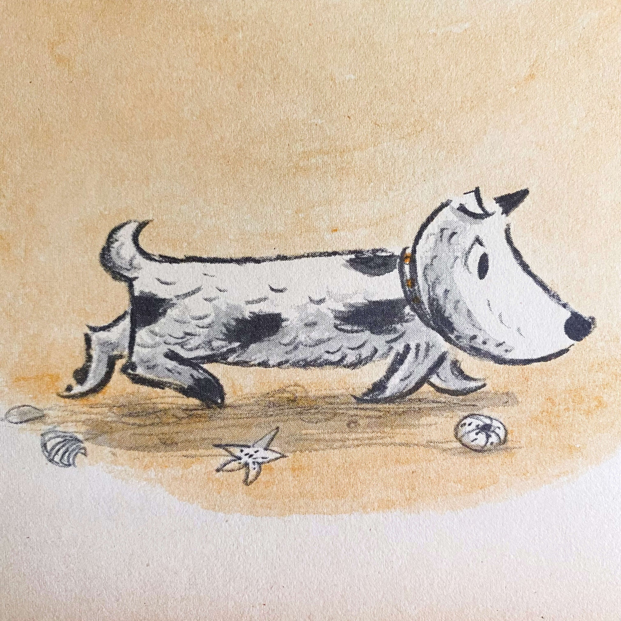 Harry by the Sea by Gene Zion - 1965 Weekly Reader Children's Book Club Edition