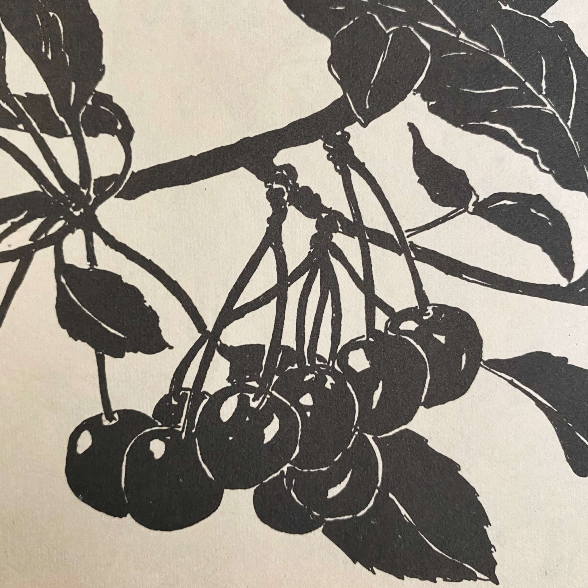 Drawing Flowers by Victor Perard circa 1948