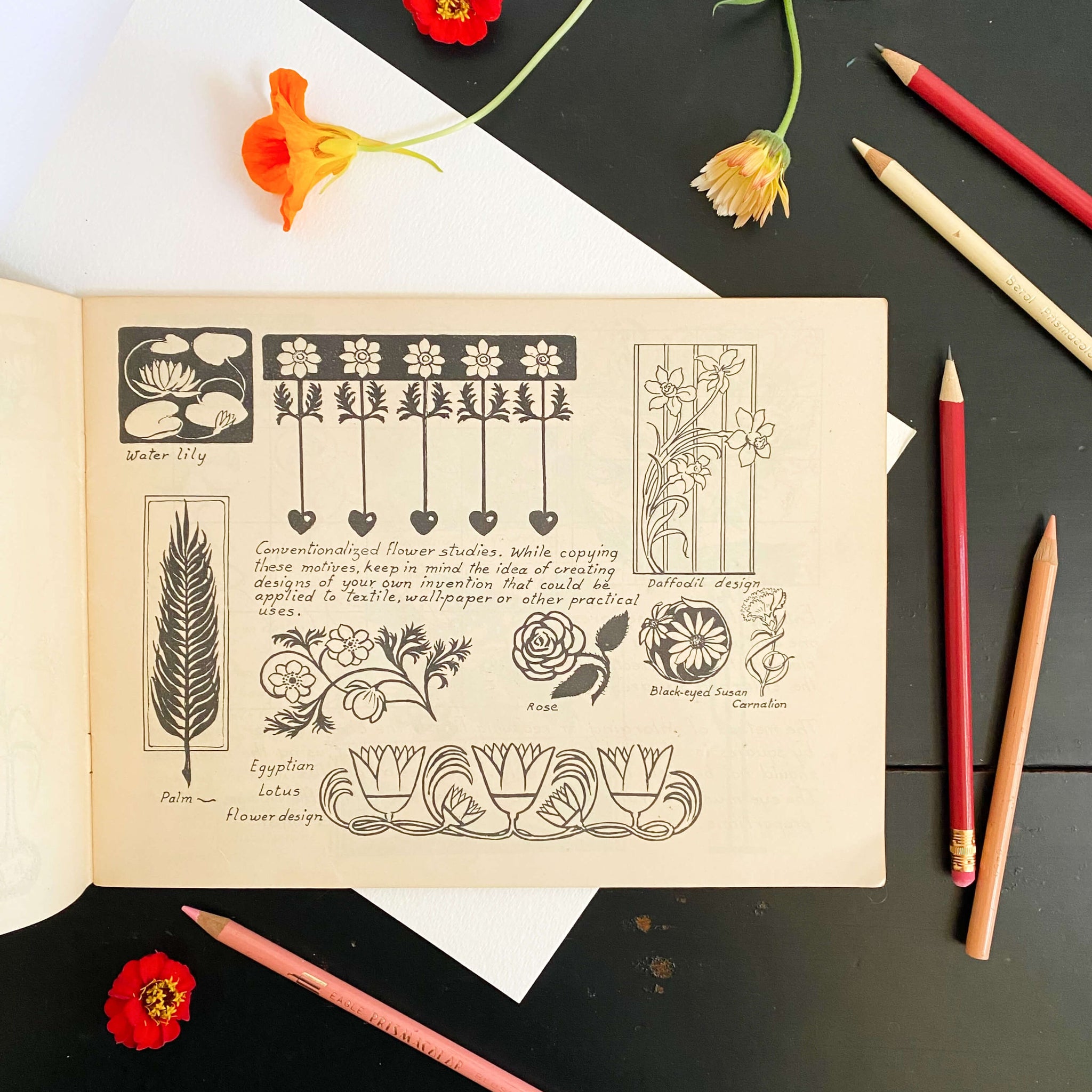 Drawing Flowers by Victor Perard circa 1948