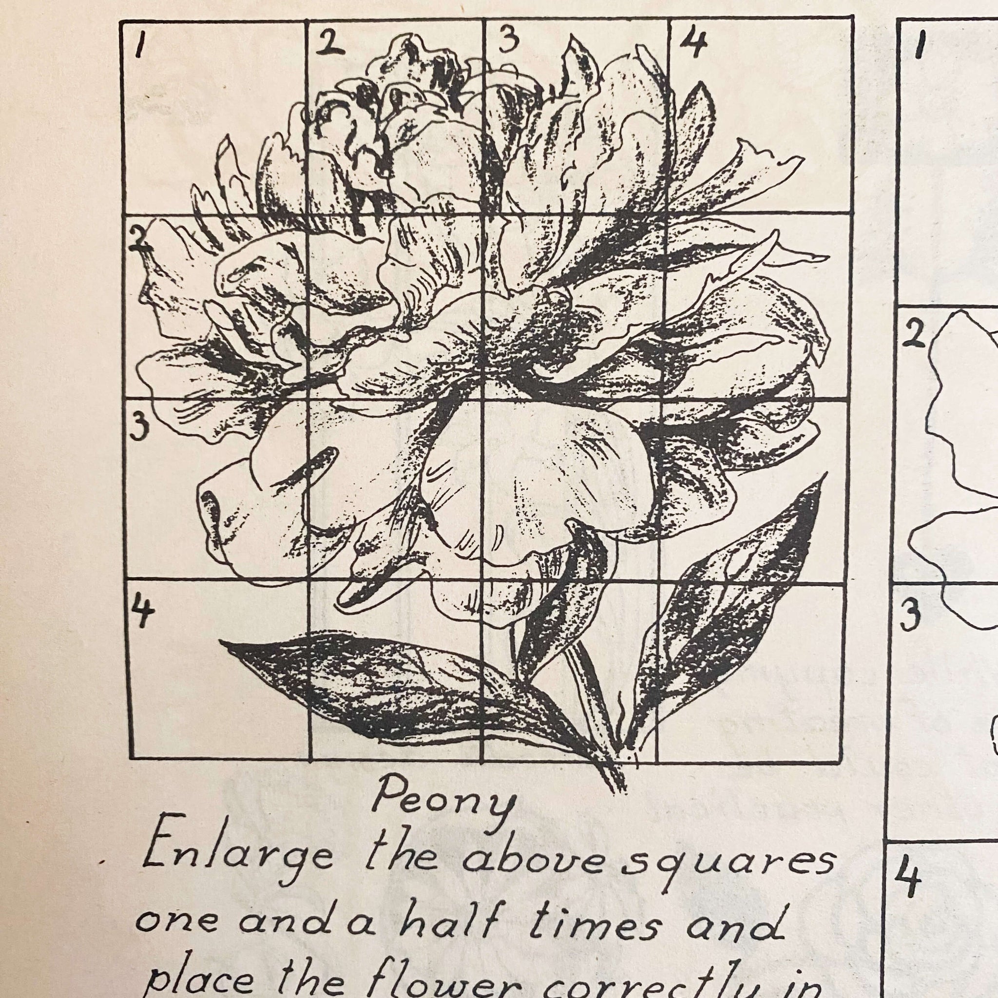 Drawing Flowers by Victor Perard circa 1948