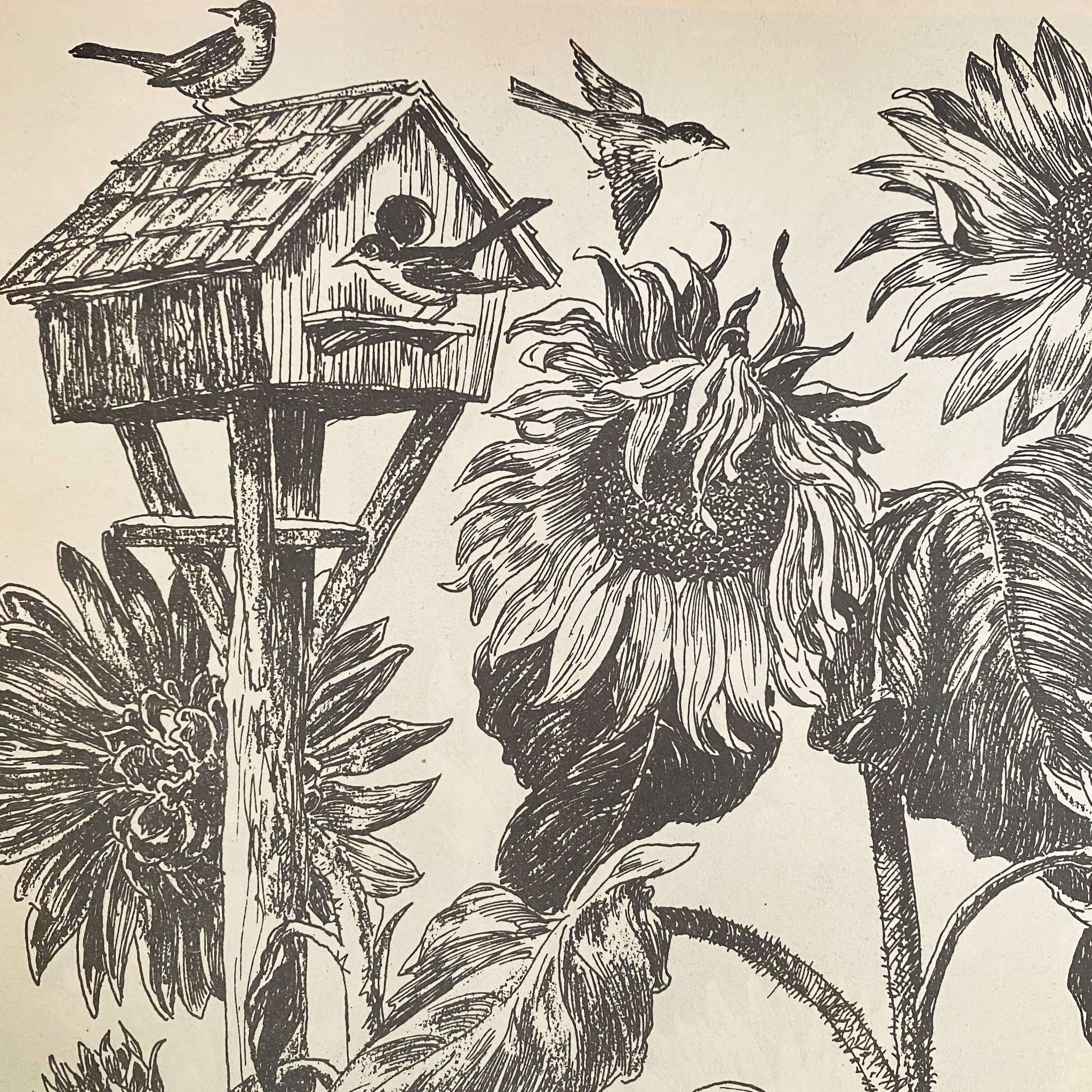 Drawing Flowers by Victor Perard circa 1948