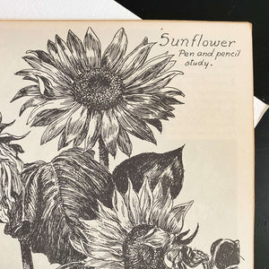 Drawing Flowers by Victor Perard circa 1948