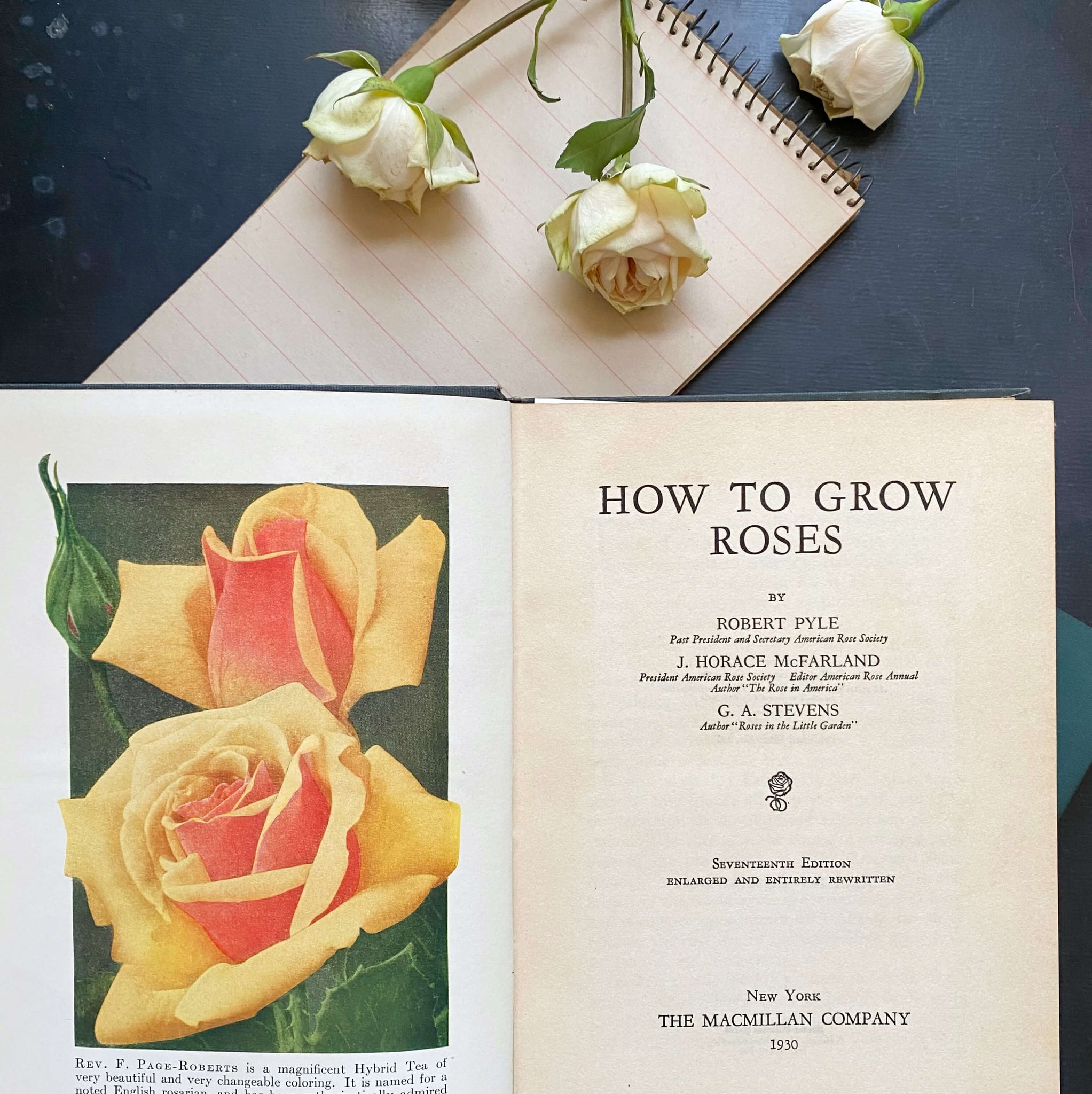 How to Grow Roses by Robert Pyle J. Horace McFarland G.A. Stevens 1930 Edition