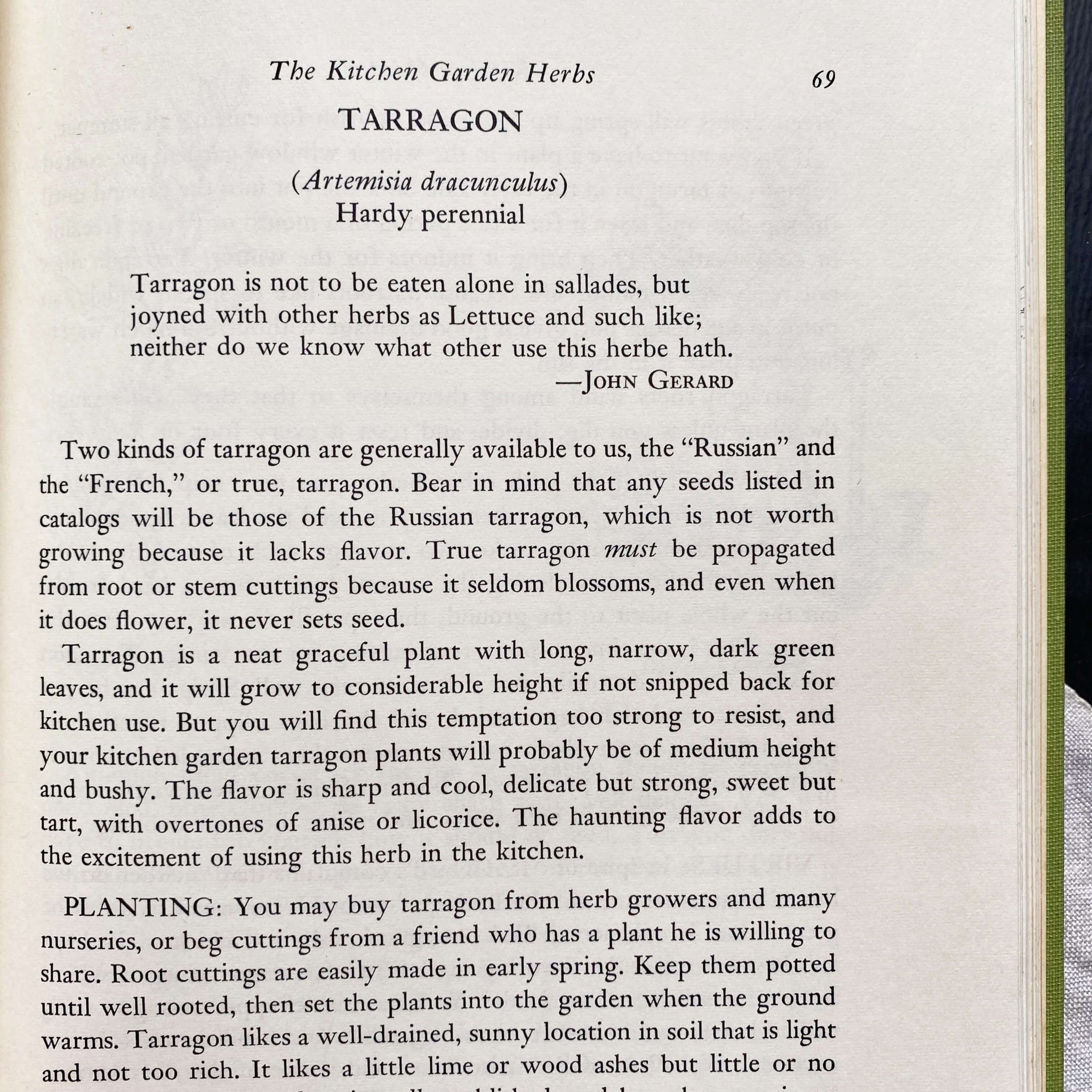 Betty Crocker's Kitchen Gardens - 1971 Edition with Illustrations by Tasha Tudor