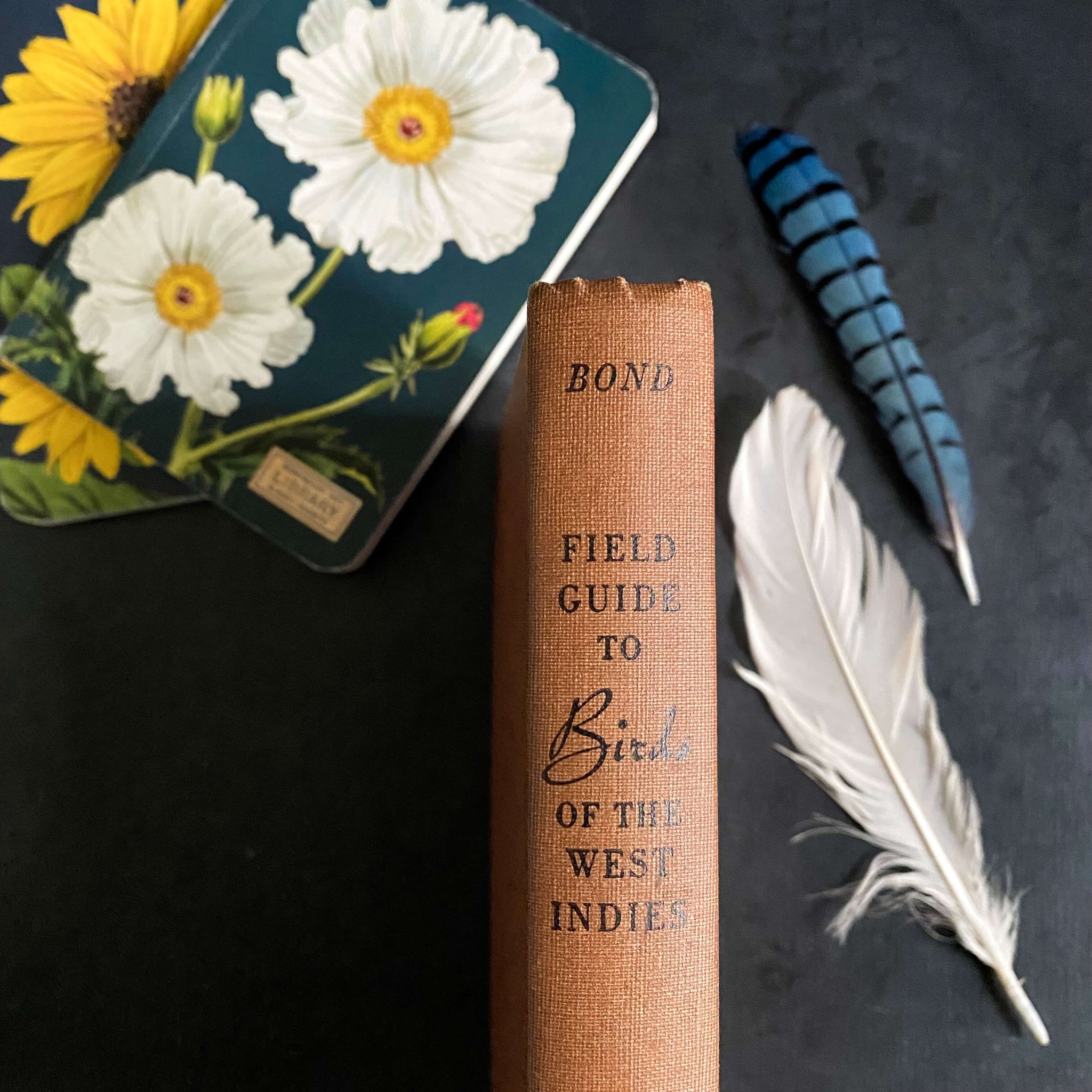 Field Guide to Birds of the West Indies by James Bond - 1947 Edition First Printing