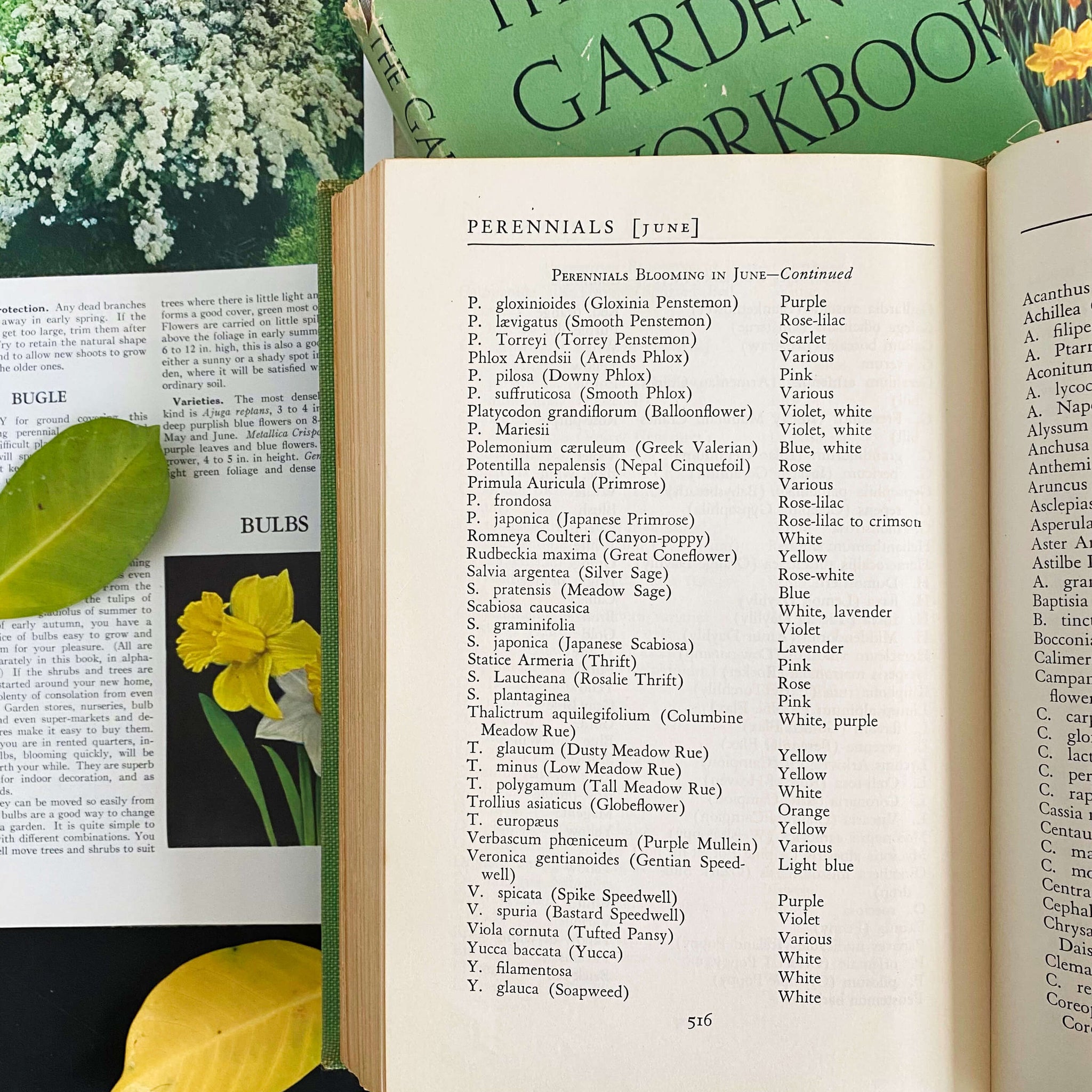 America's Garden Book by Louise & James Bush-Brown  - 1939 First Edition