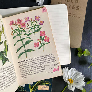 Vintage 1950s Golden Nature Guide - Flowers by Herbert Zim & Alexander Martin circa 1950