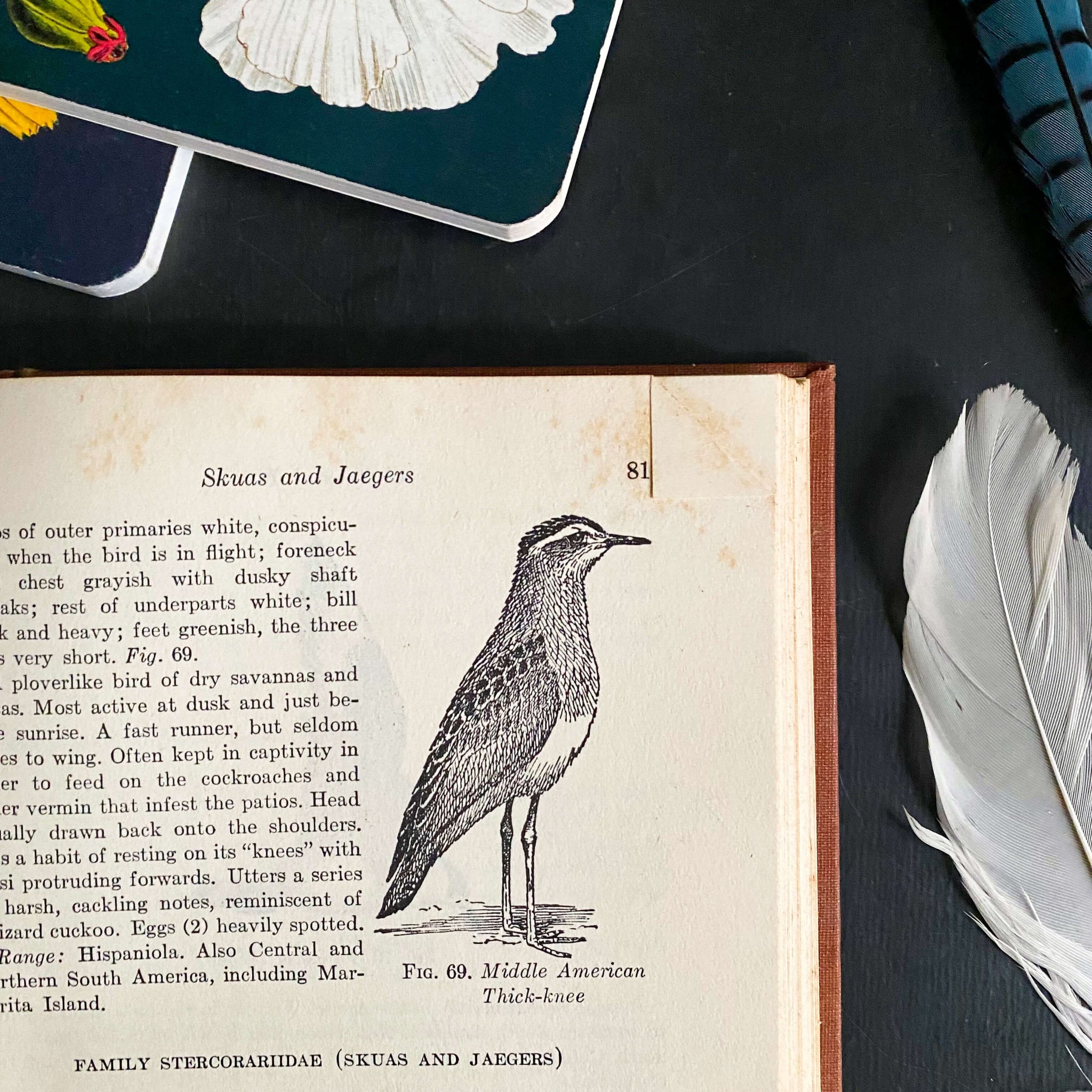Field Guide to Birds of the West Indies by James Bond - 1947 Edition First Printing