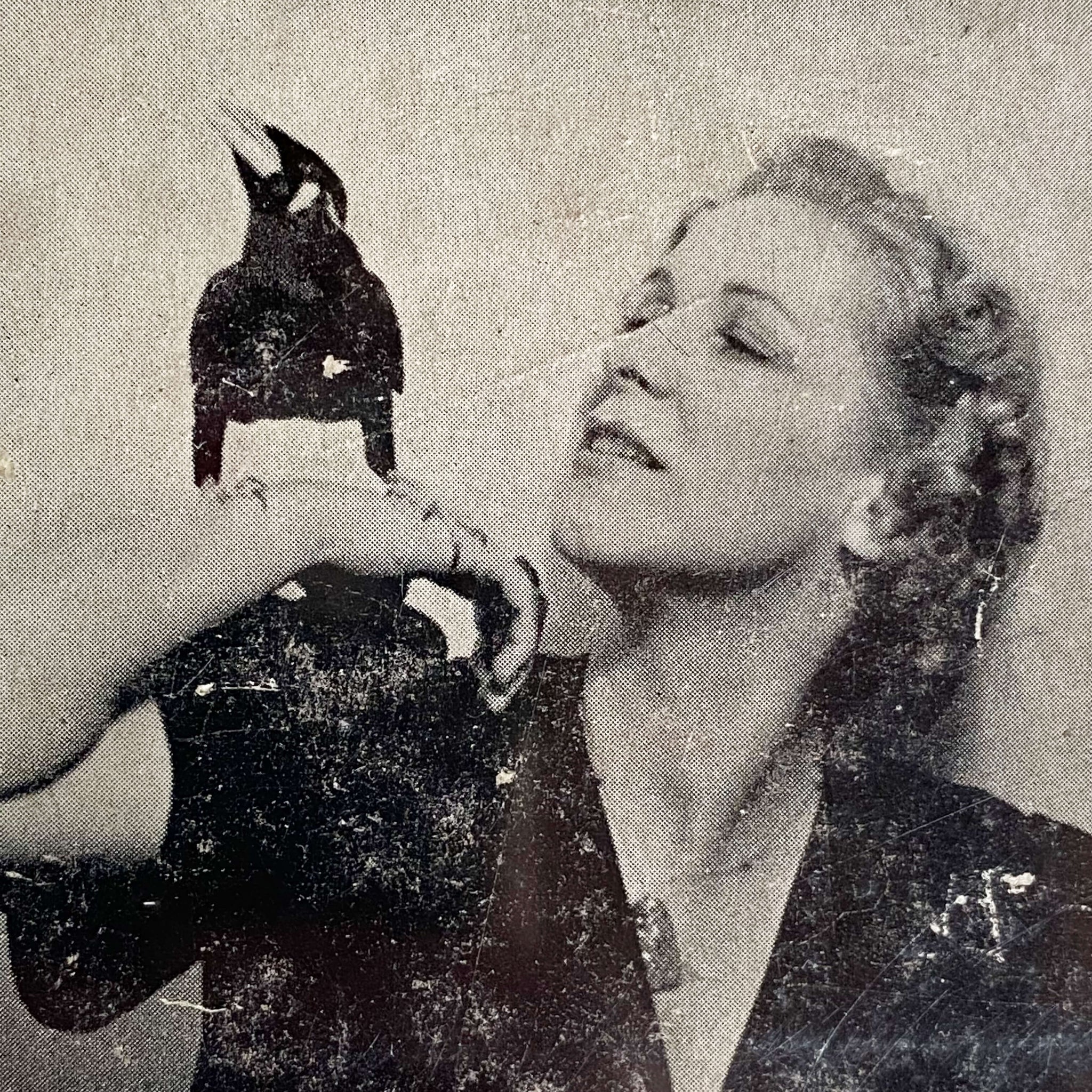 Vintage 1940s Non-Fiction Bird Adventure Book - Raff The Jungle Bird b ...