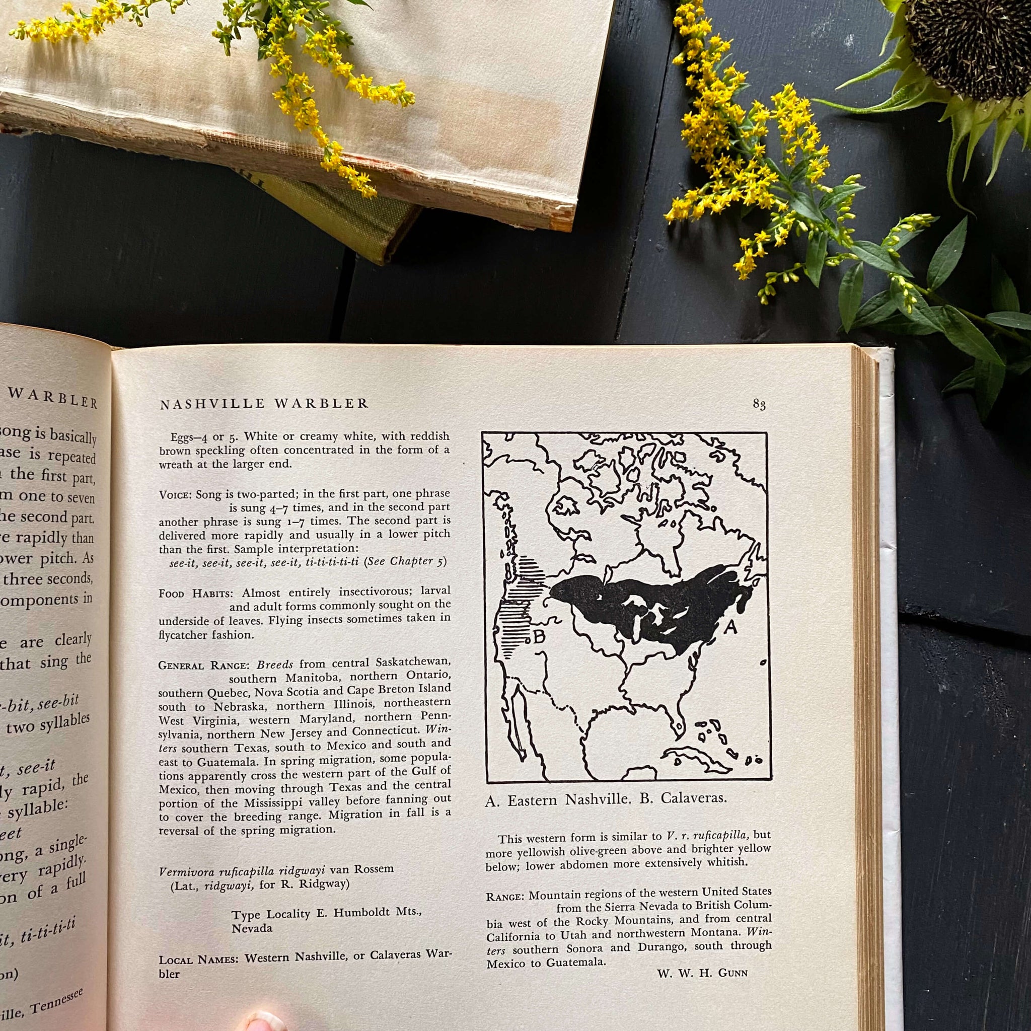 The Warblers of North America by Ludlow Griscom and Alexander Sprunt Jr. with Illustrations by John Henry Dick - 1957 First Printing