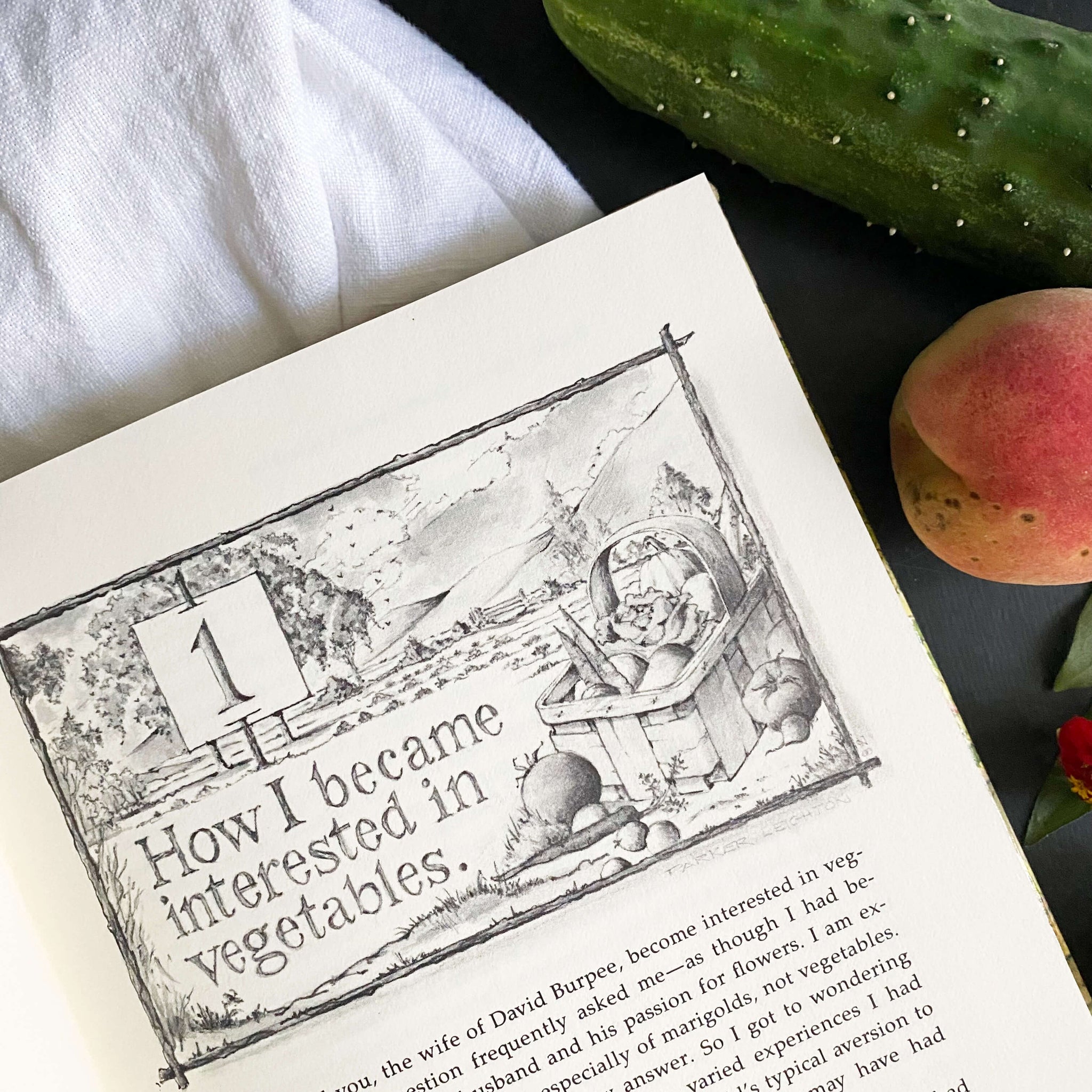 Lois Burpee's Gardener's Companion and Cookbook - 1983 First Edition