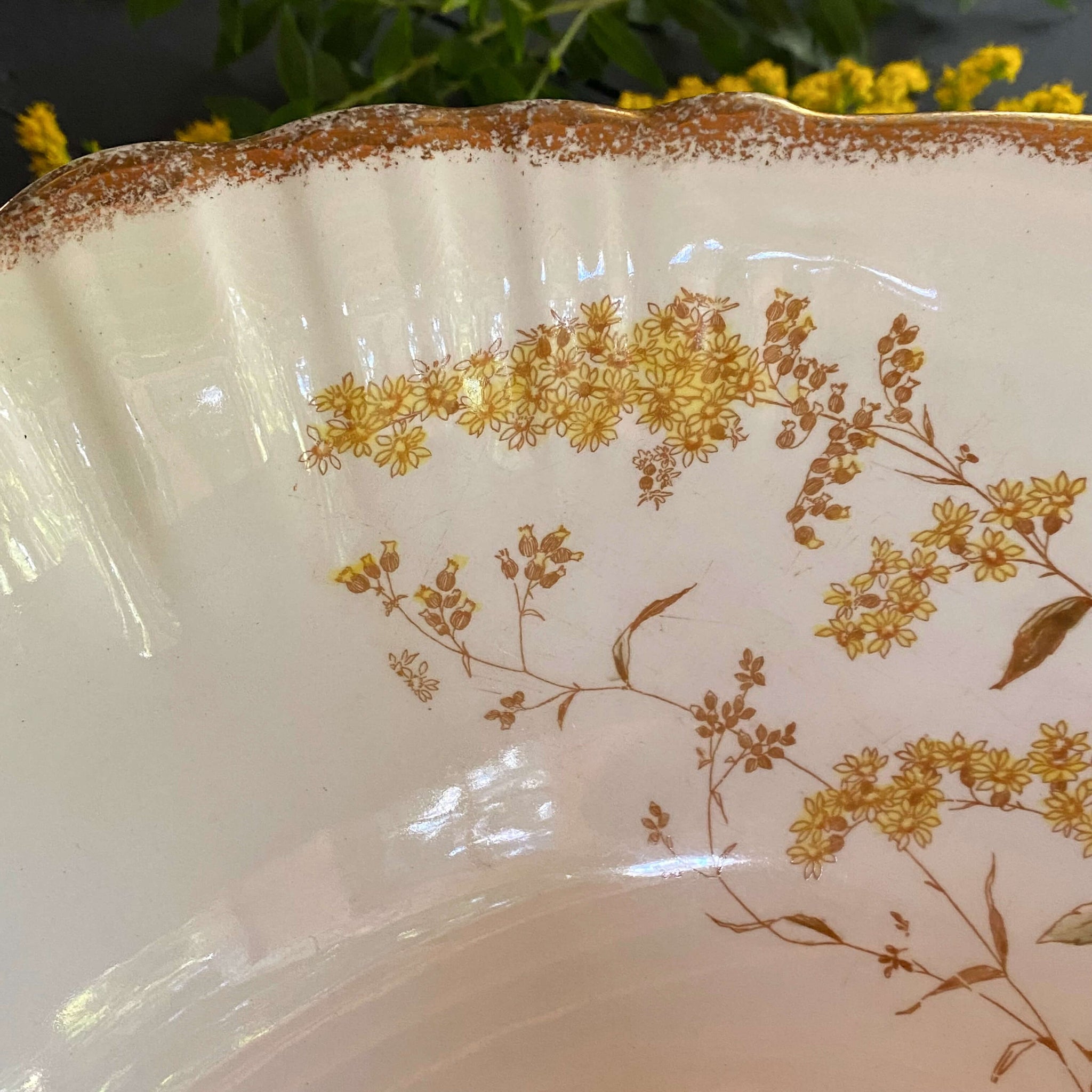 Antique John Maddock & Sons Wash Basin Bowl with Goldenrod Flowers circa 1870-1897