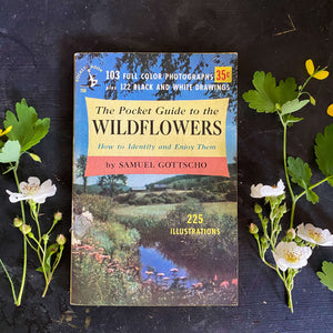 The Pocket Guide to the Wildflowers by Samuel Gottscho circa 1951