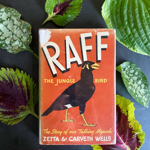 Vintage 1940s Non-Fiction Bird Adventure Book - Raff The Jungle Bird by Zetta & Carveth Wells - Signed First Edition