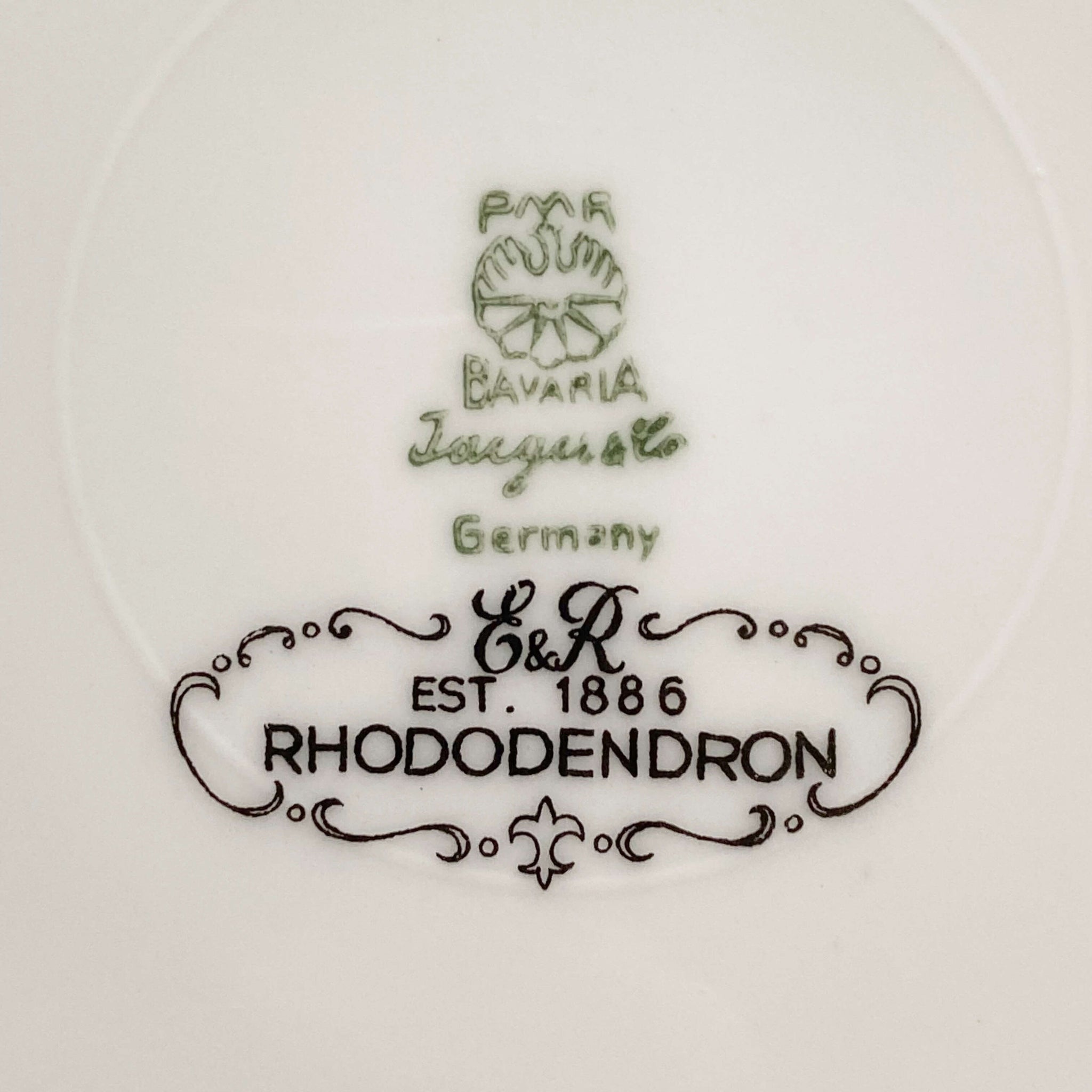 Vintage Porcelain Rhododendron Dinner Plates - Set of Four - Made by Jaeger & Co circa 1949- 1960s