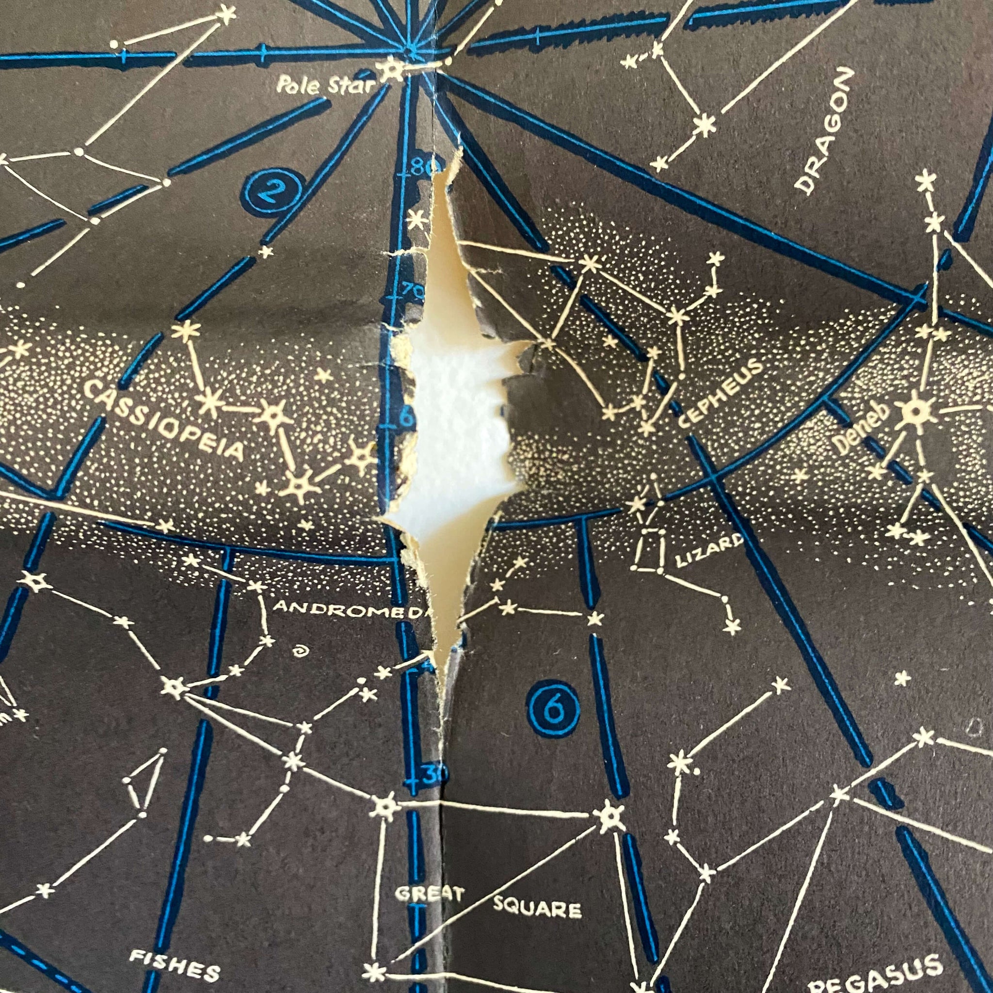 The Stars by H.A. Rey - 1956 Edition Fourth Printing with Wall-Size Chart of the Constellations