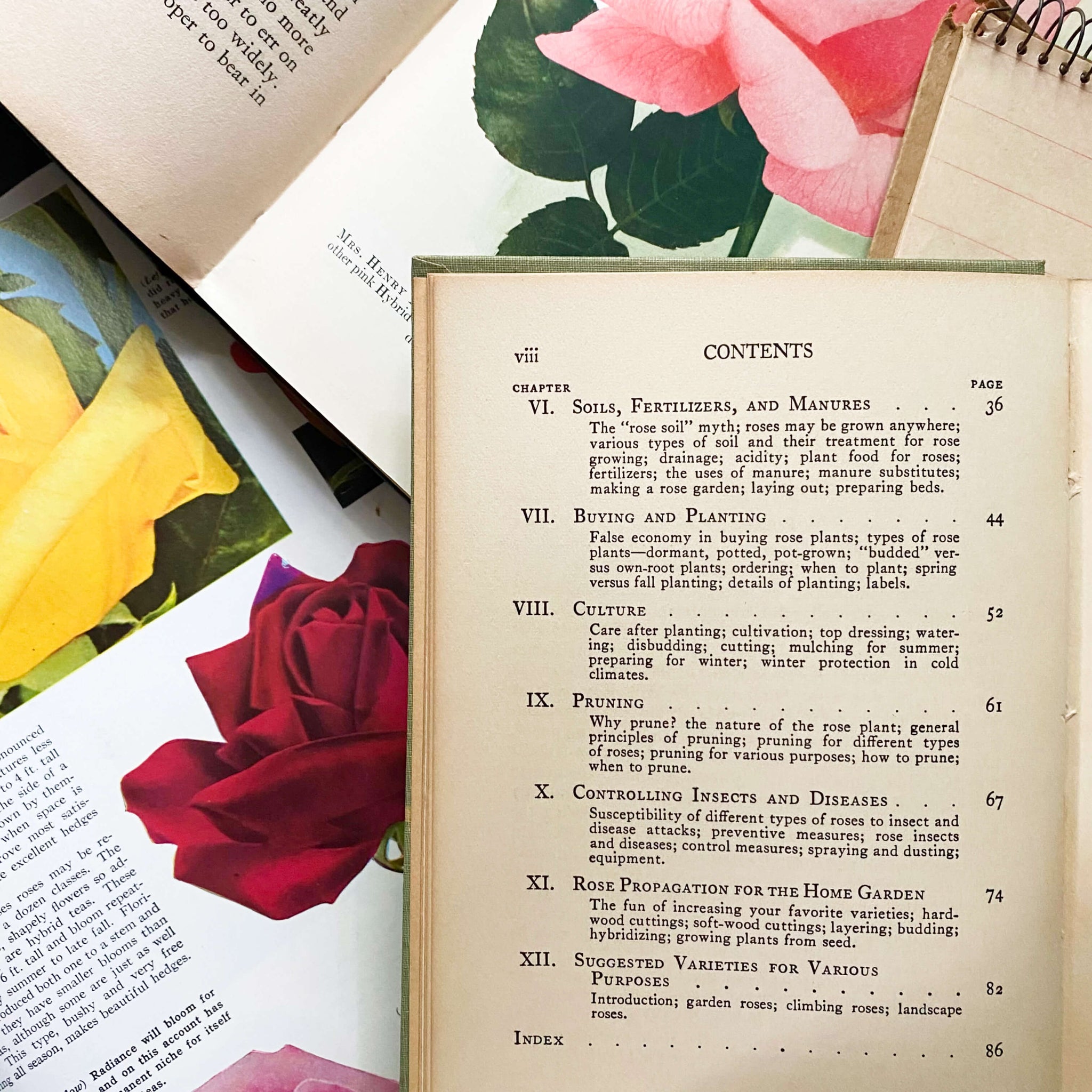 Roses by F.F. Rockwell - The Home Garden Handbooks Series circa 1930