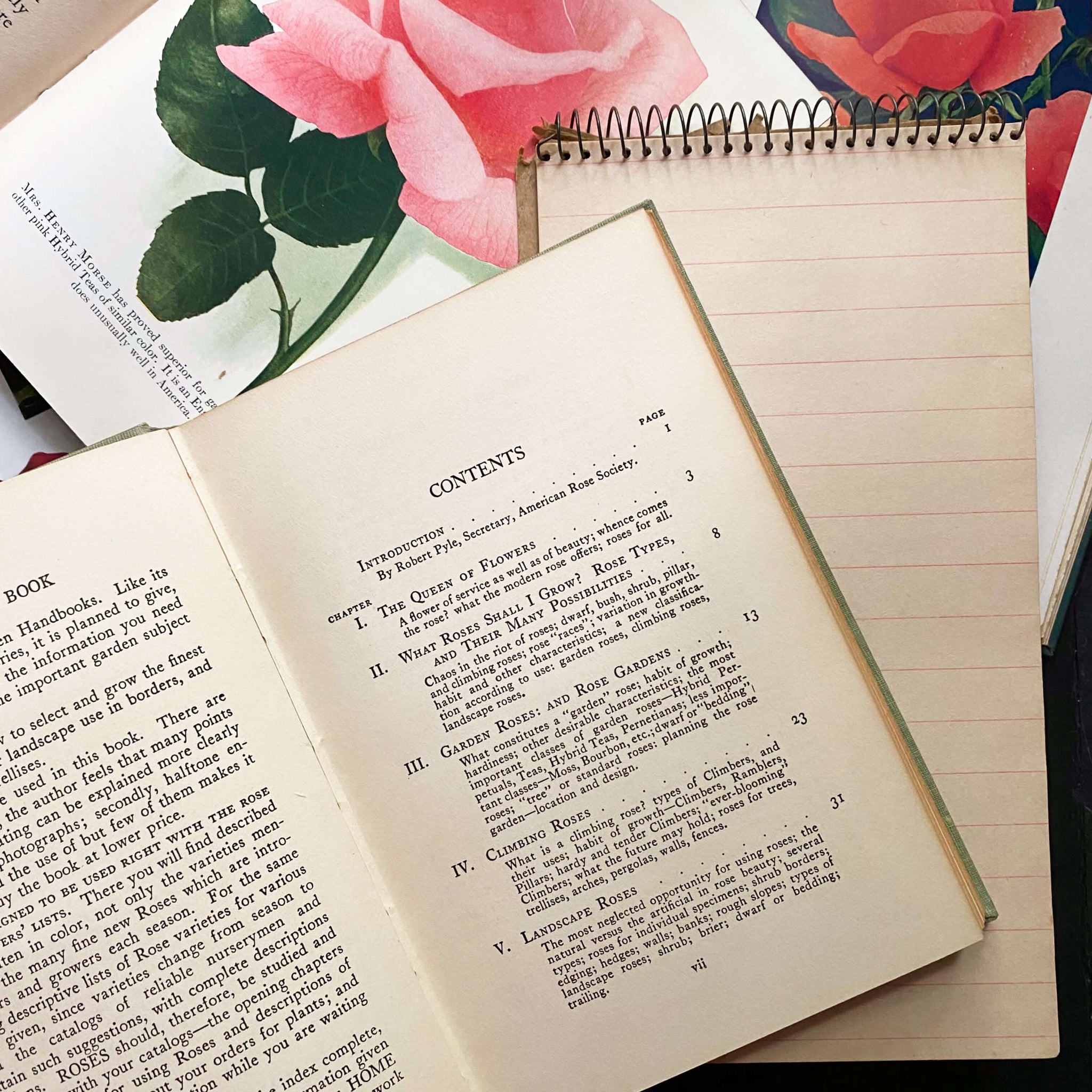 Roses by F.F. Rockwell - The Home Garden Handbooks Series circa 1930