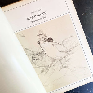 Vintage 1960s-Oversized Bird Book - Birds of the Eastern Forest Volume 1 - JF Lansdowne John A Livingston circa 1968