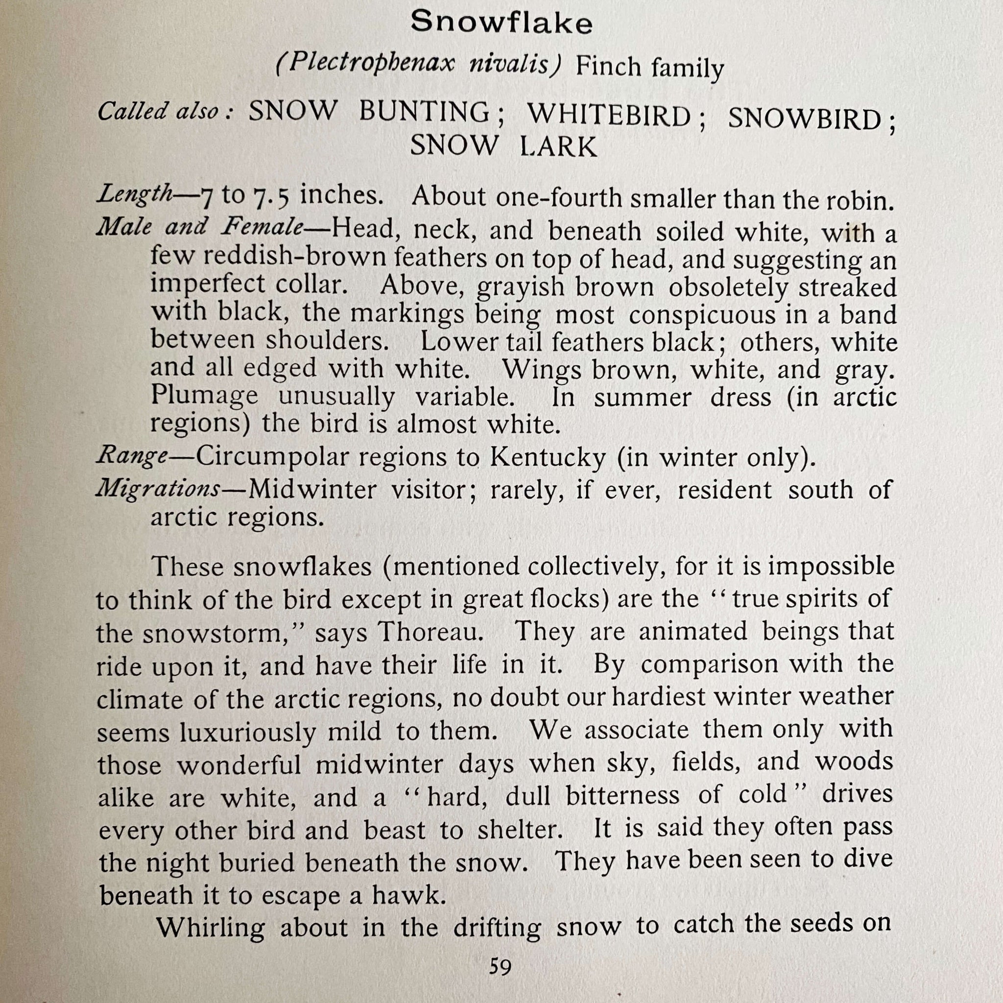 Bird Neighbors by Neltje Blanchan - 1898 Edition Fifth Printing