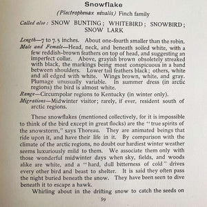 Bird Neighbors by Neltje Blanchan - 1898 Edition Fifth Printing