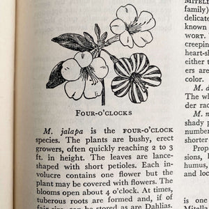 The Flower Encyclopedia and Gardener's Guide by Albert E. Wilkinson Illustrated by Tabea Hoffman circa 1943