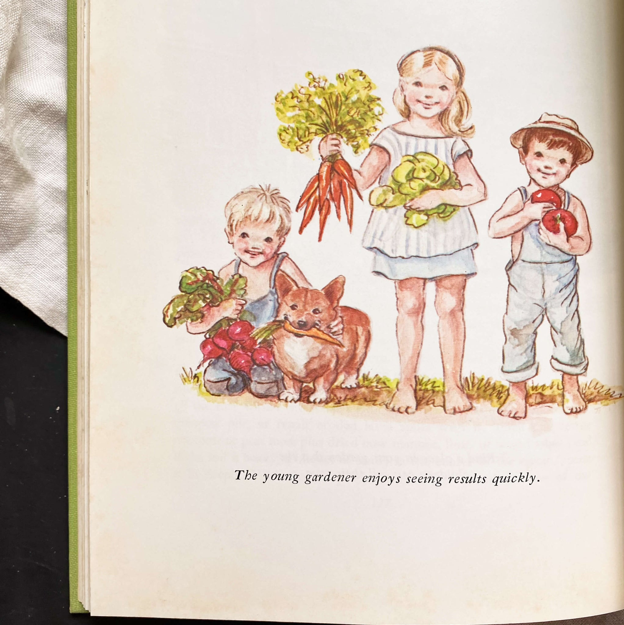 Betty Crocker's Kitchen Gardens - 1971 Edition with Illustrations by Tasha Tudor