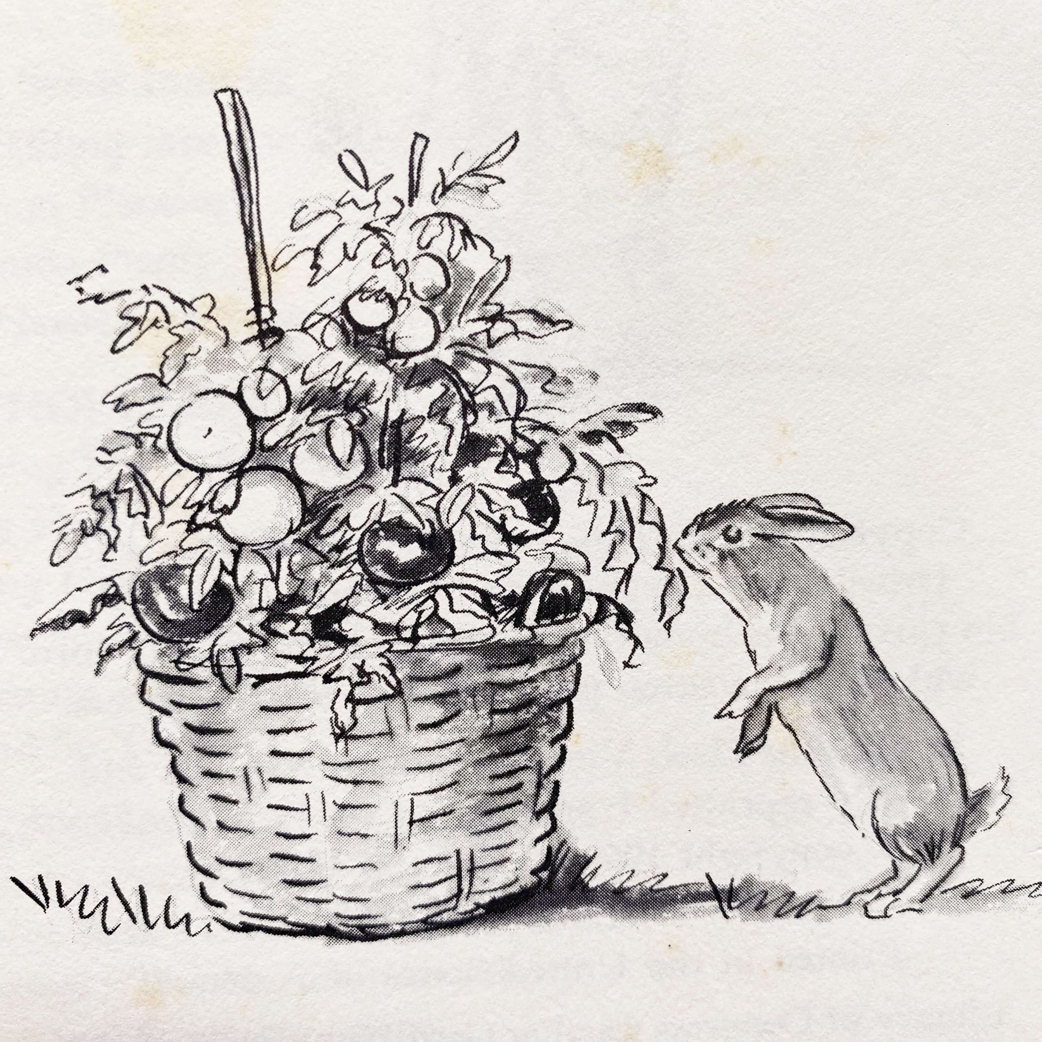 Betty Crocker's Kitchen Gardens - 1971 Edition with Illustrations by Tasha Tudor