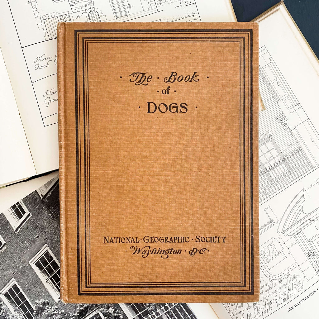The Book of Dogs by Louis Agassiz Fuertes - National Geographic Society circa 1919 Rare Book